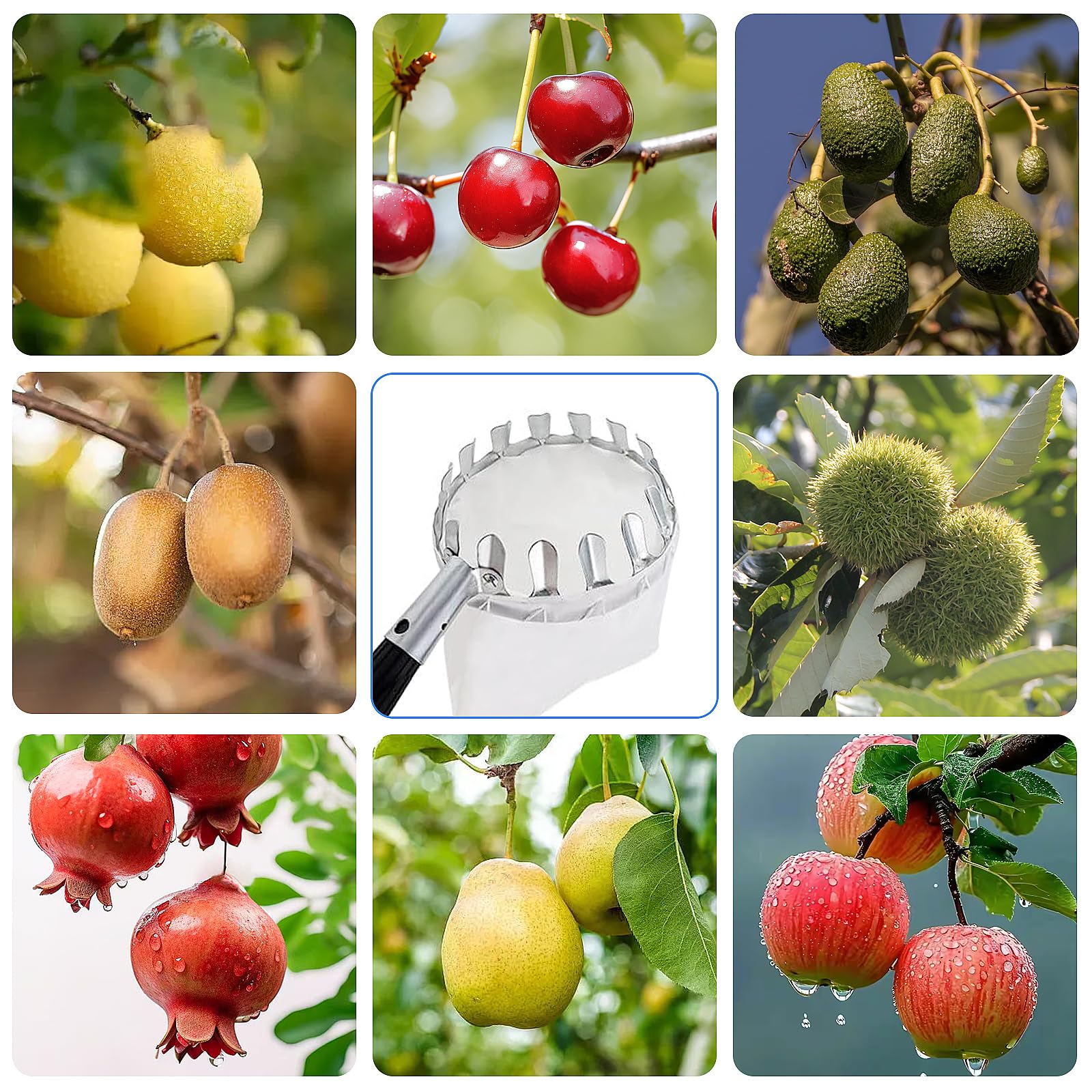 3,2 m raccogli frutta con manico telescopico, diametro 16 cm, raccogli mele, con sacchetto di cotone, in acciaio inox, per mele, agrumi, pere