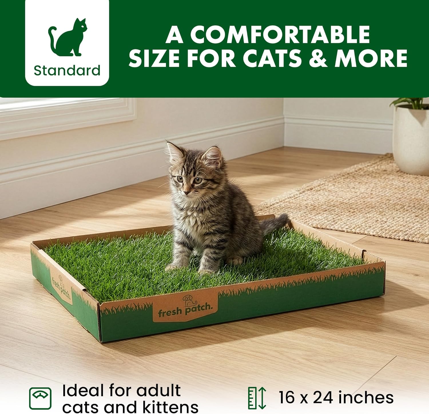 Fresh Patch Real Grass Patch for Cats (16 Inches x 24 Inches)