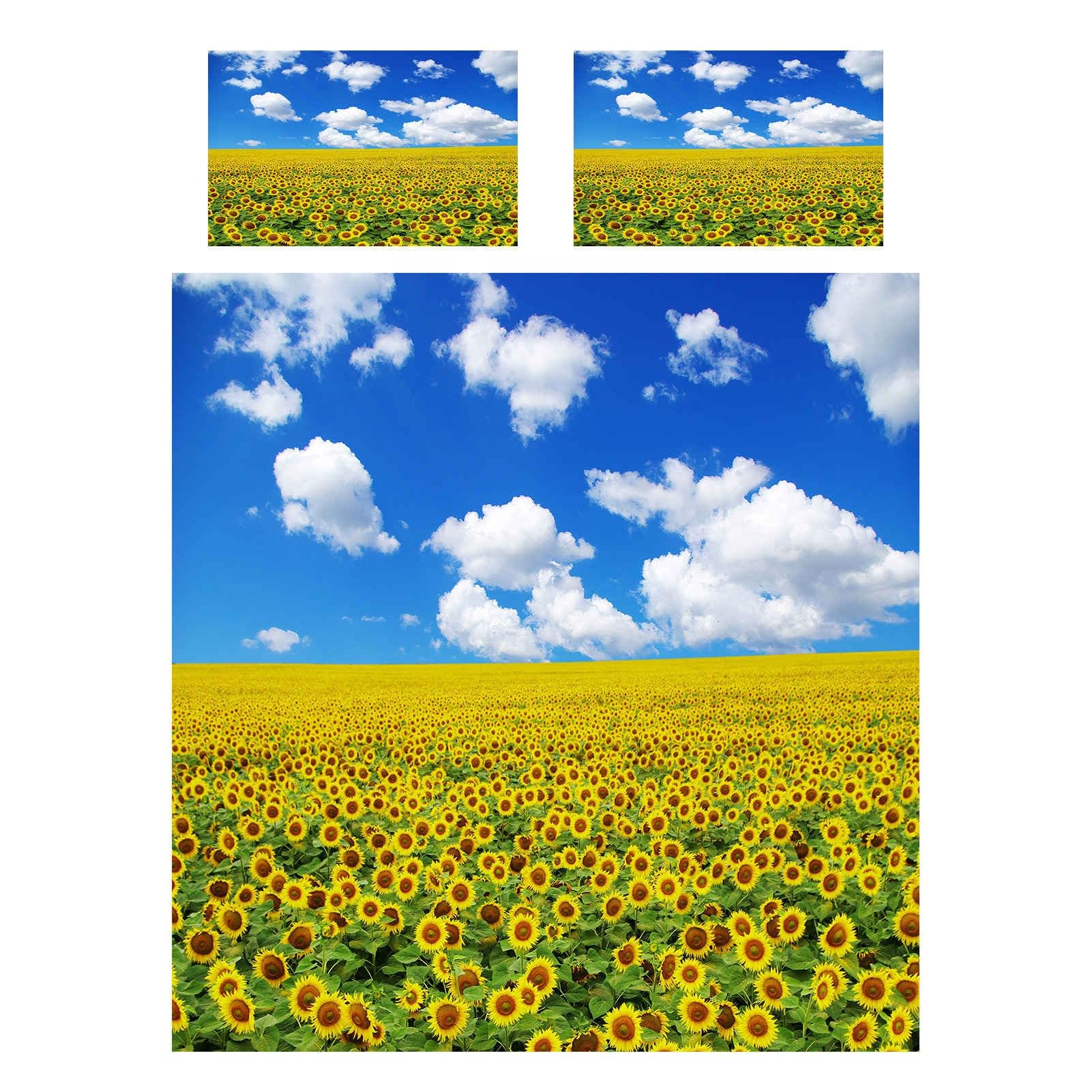View 2