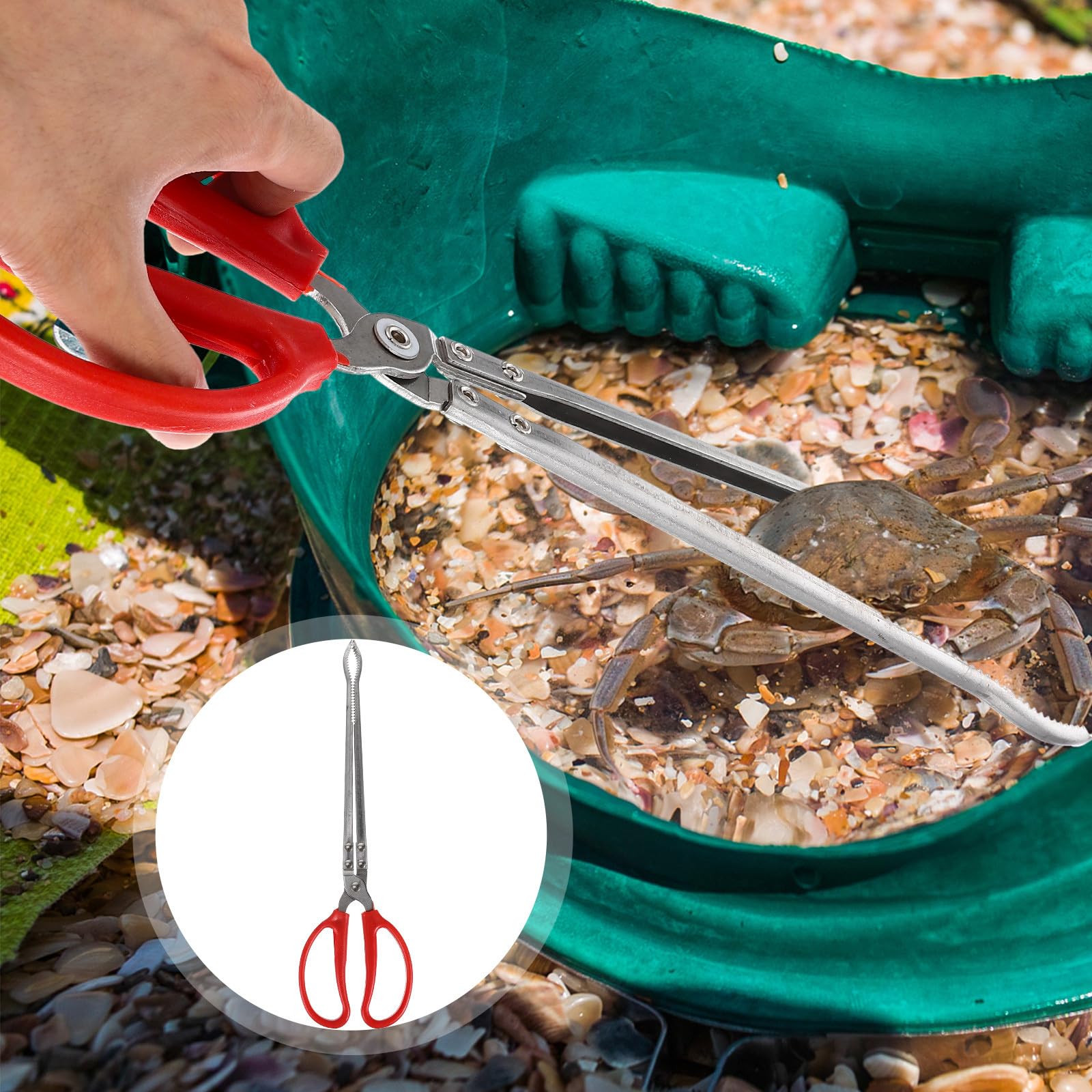 Pinza para Cangrejos y Anguilas, Pinza Multifunción para Marisco, Acero Inoxidable Resistente al Desgaste, Ligera y Práctica Pesca Mar, Recolección Playa y Captura de Crustáceos