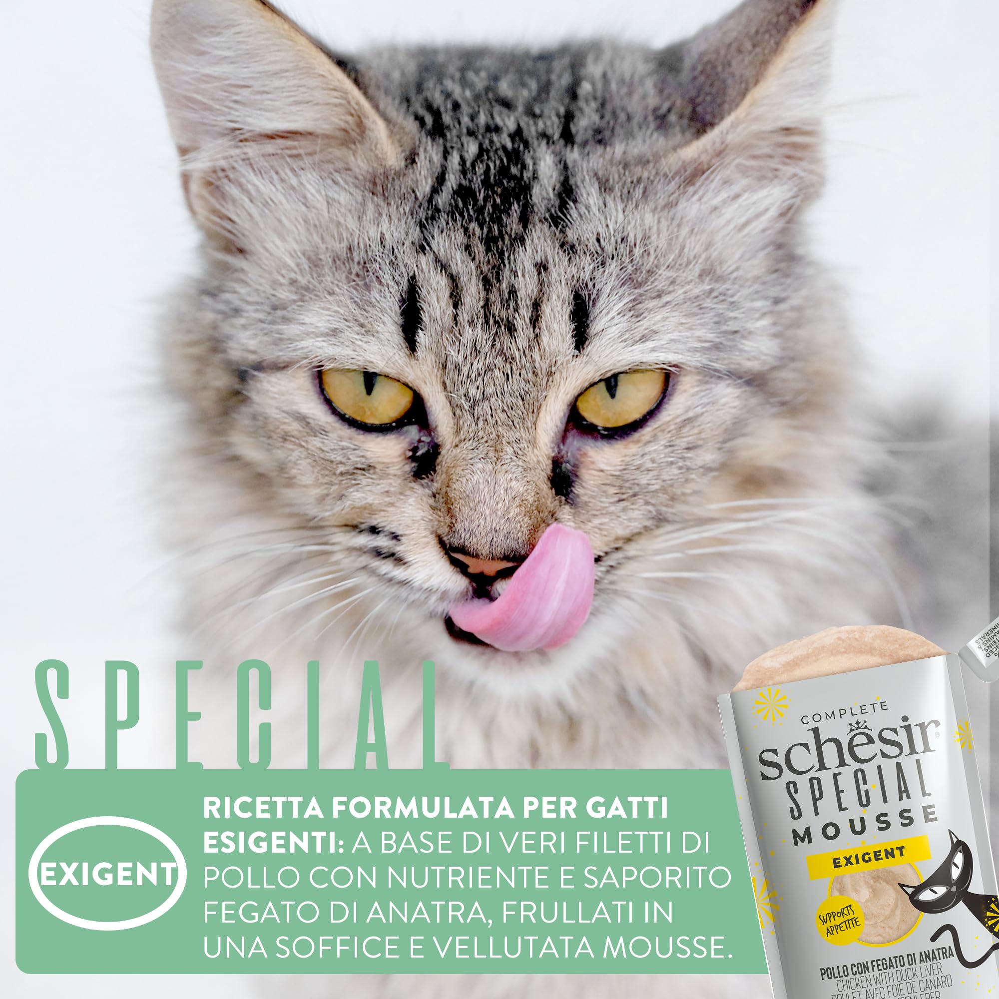 Schesir Special Exigent, Alimentation complète pour Chats exigeants (Poitrine 12 x 70 g)