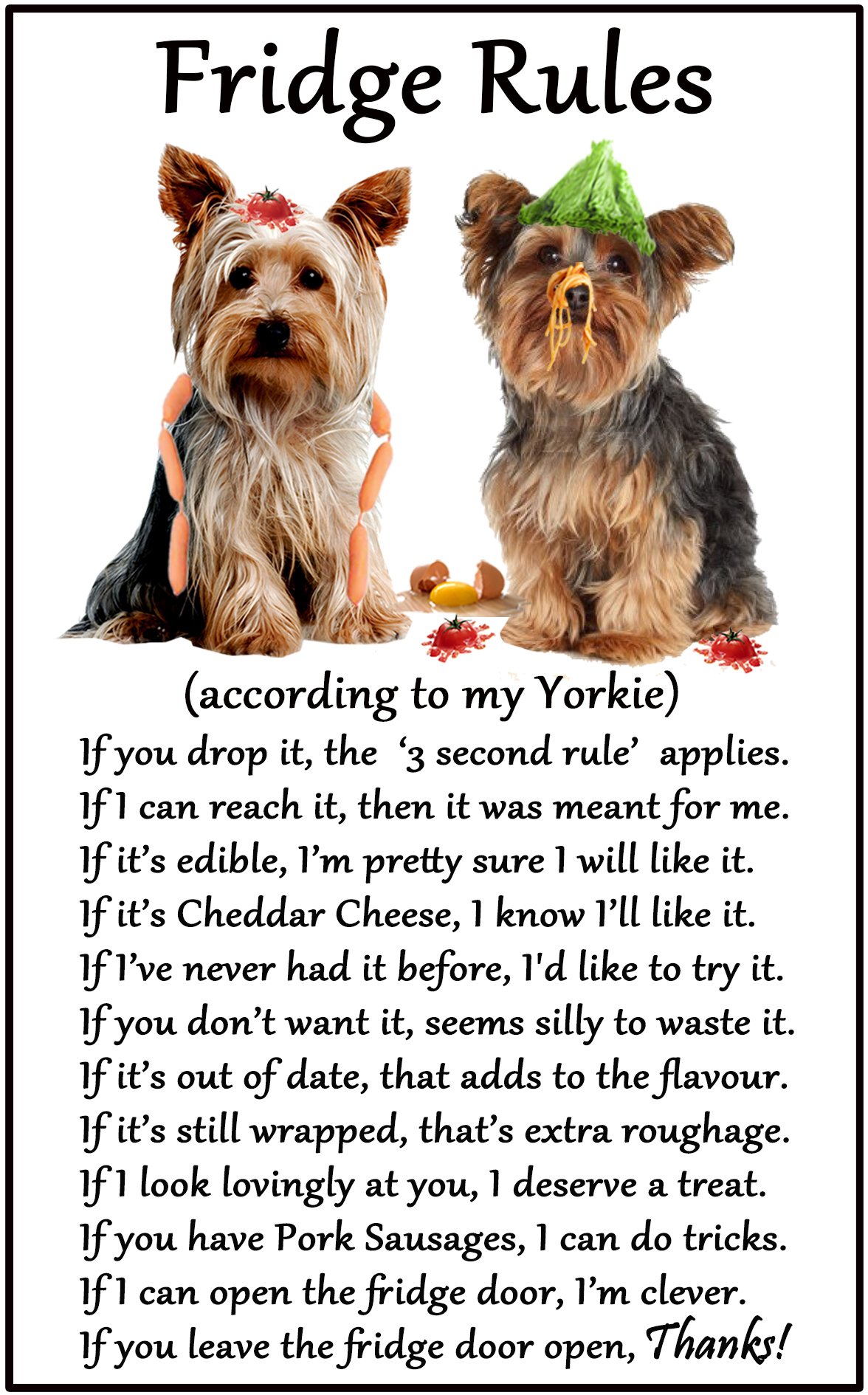 Fridge Magnets Multicolor Yorkshire Terrier (Yorkie) Gift - Fridge Rules - Large Fun Flexible Fridge Magnet- Size 16Cms X 10 Cms (Approx. 6" X4")
