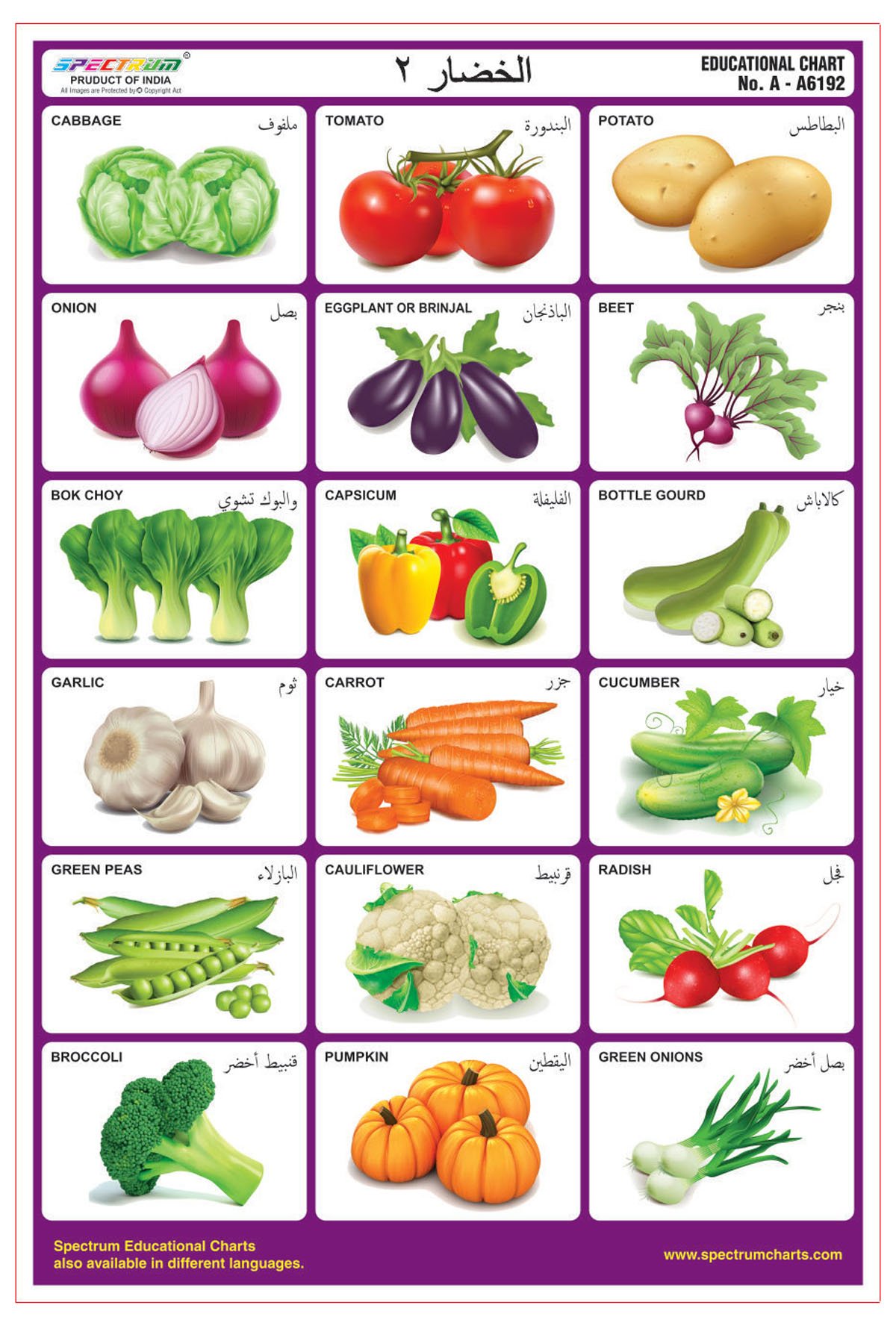 Spectrum Arabic Language Vegetables-2 Laminated Wall Chart Pre-Primary Kids Learning