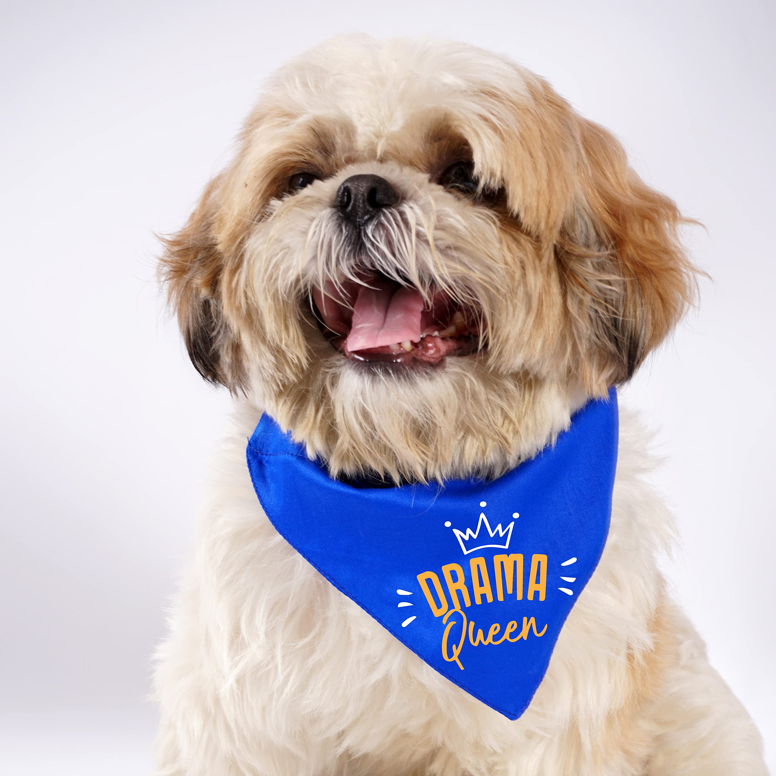 Limit Fashion Store - Drama Queen Crown Design Printed Dog Bandana/Dog Scarf (Pack of 1) (Royal Blue) (B0BK4WYYFT) Amazon Price History, Amazon Price Tracker