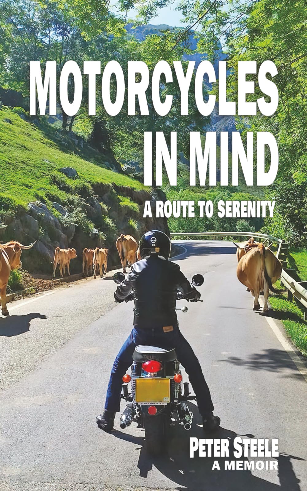 Motorcycles in Mind: A route to serenity
