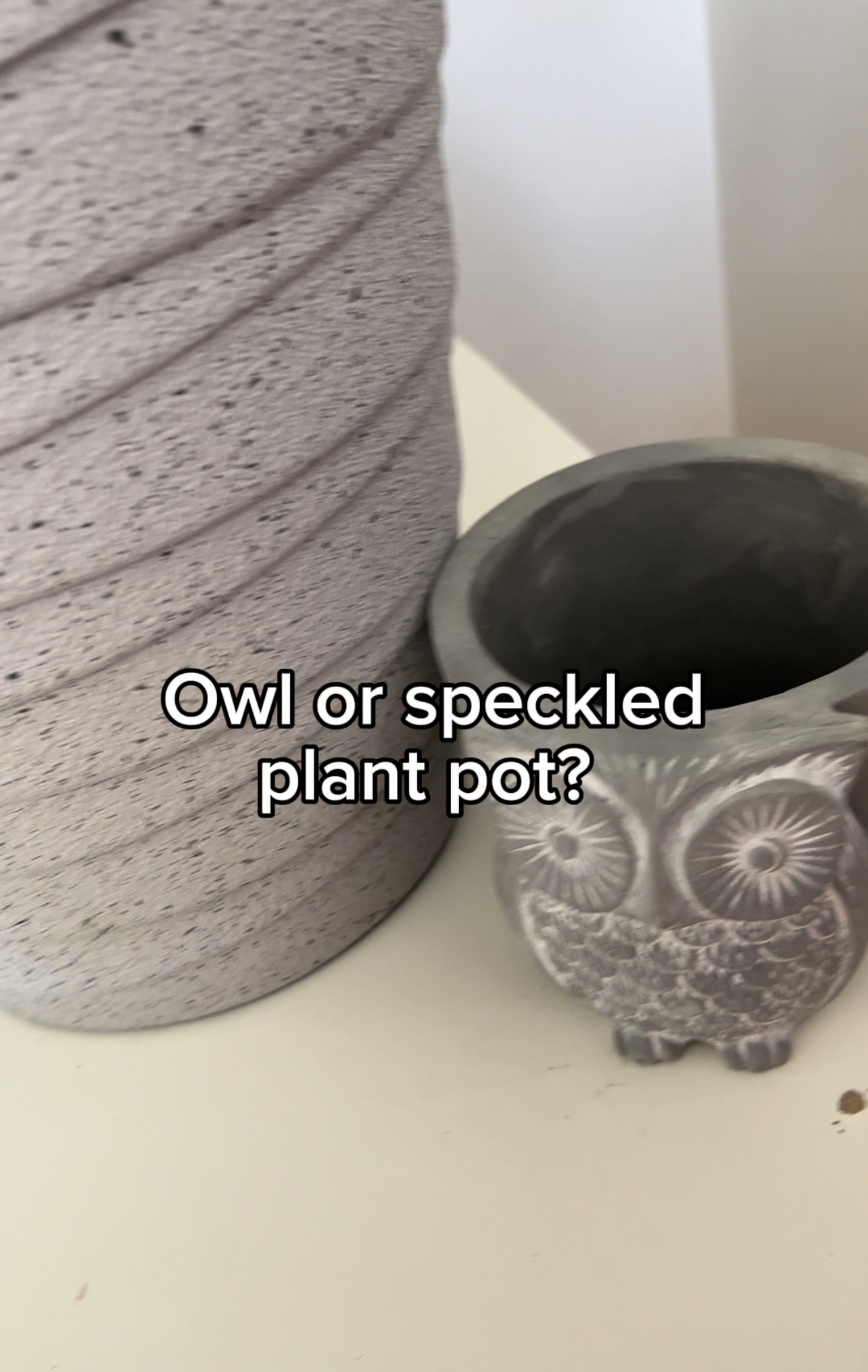 Liberate Indoor Pot - Black Owls main image 0
