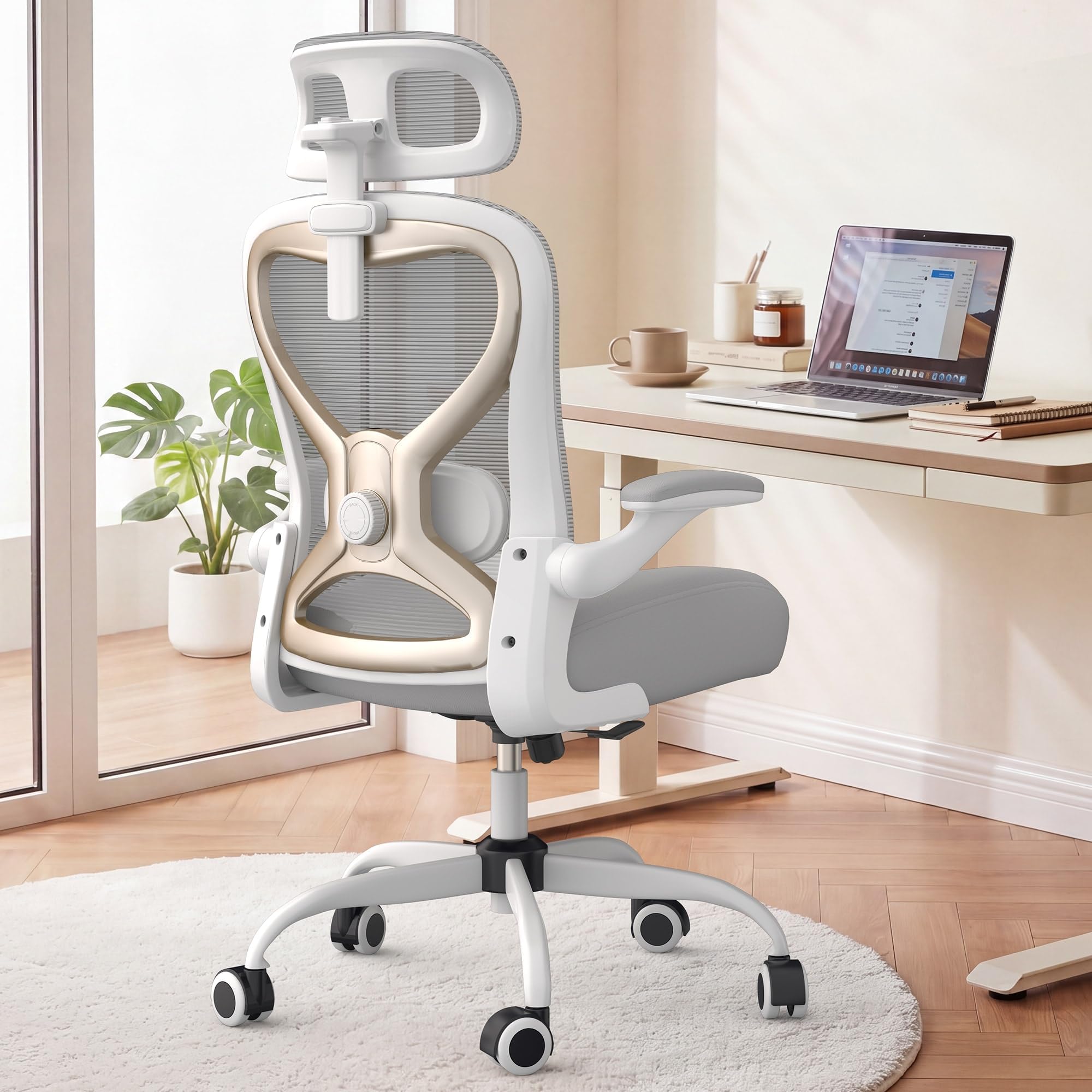 Photo 1 of CASASIO Ergonomic Office Chair - Gray/Gold