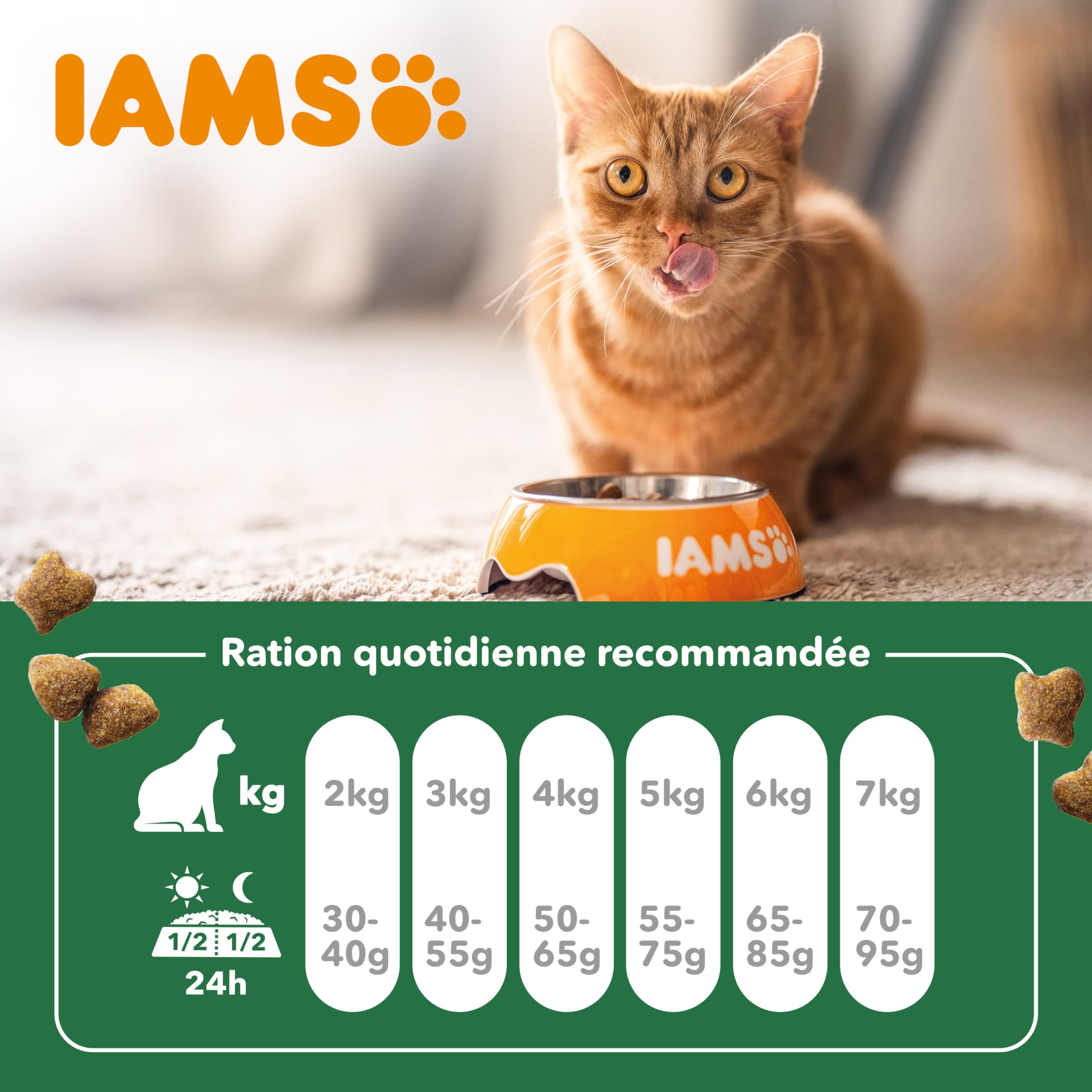 IAMS Vitality - Croquettes Premium Chats Adultes 100% Complètes Et Ã‰quilibrées - A L'Agneau - Sans OGM Colorant Arôme Artificiel - Sac Refermable 1,5