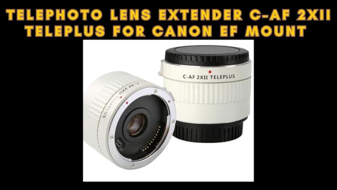 Amazon.com : Canon EF 100mm f/2.8L IS USM Macro Lens for