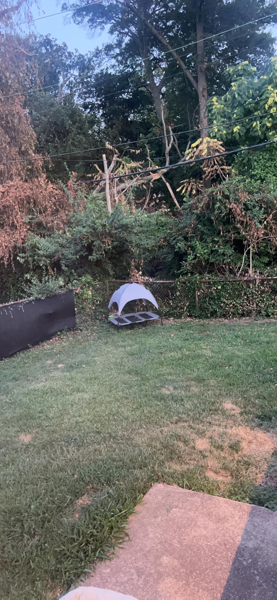 PupHut Outdoor Raised Dog Bed – XL Size Lounger with Shade Canopy