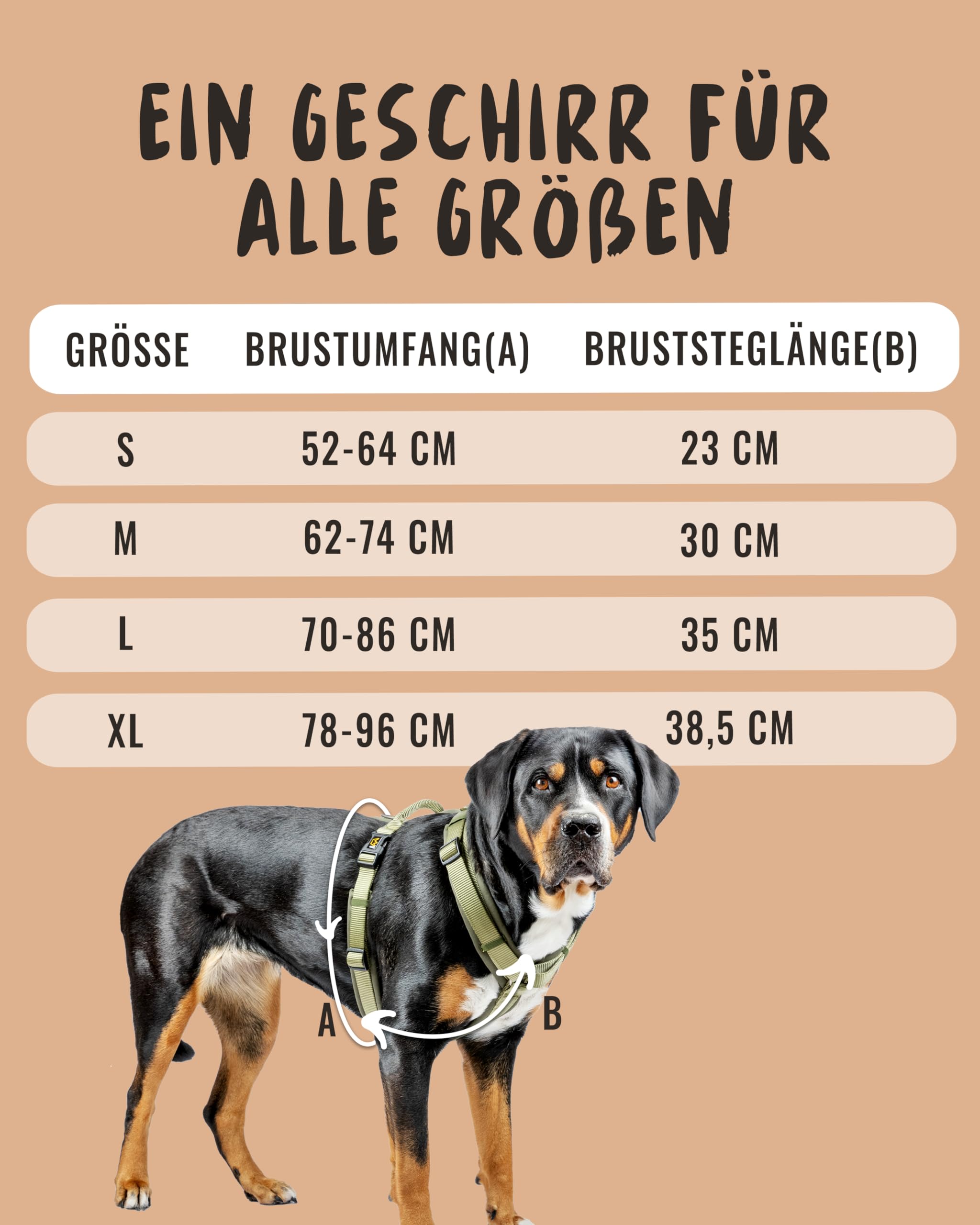 Rudelkönig Hundegeschirr Bella - Gepolstertes Brustgeschirr mit Haltegriff - Geschirr Hund mittel in Y-Design - Verstellbares Hundegeschirr mittelgroße Hunde