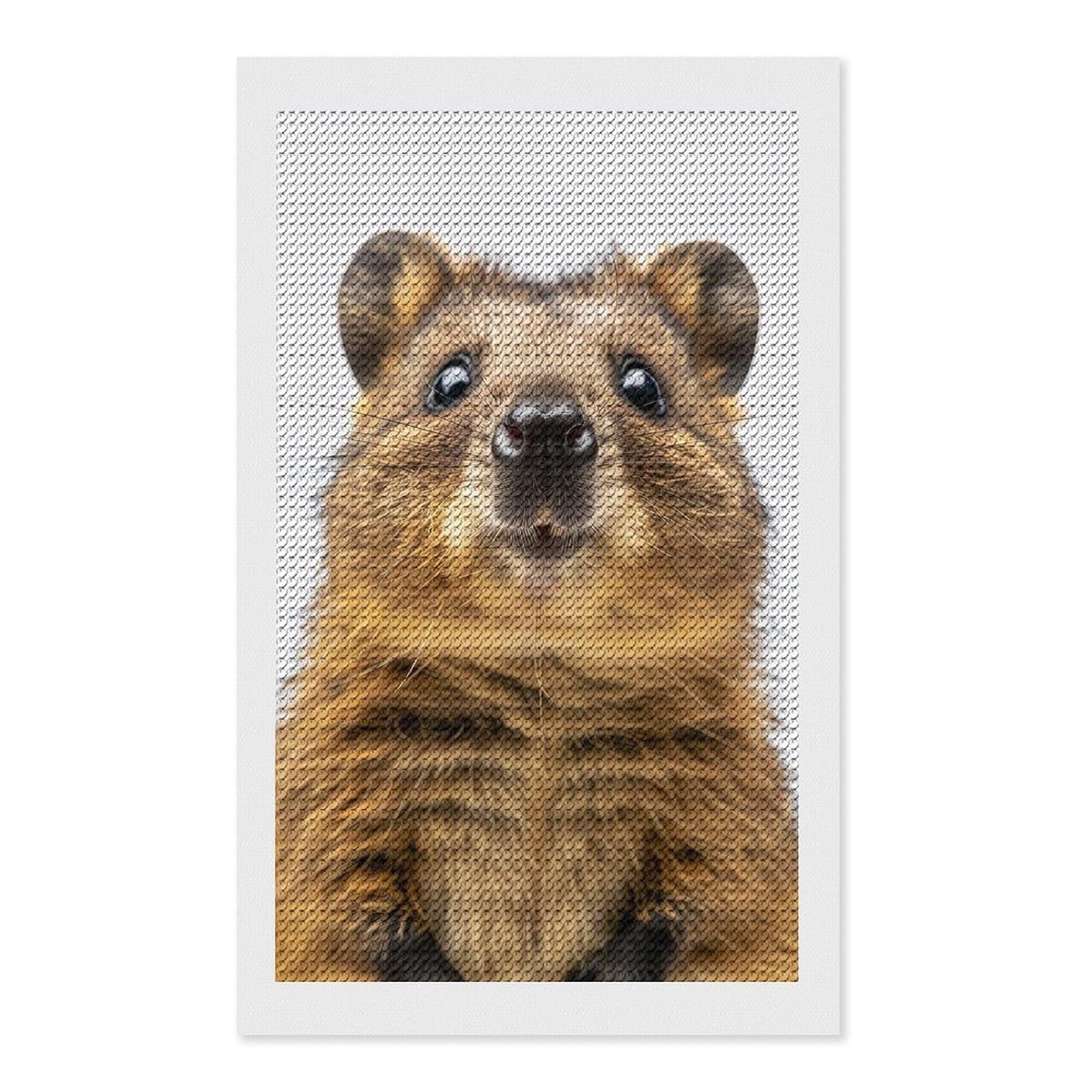 Junmoney Quokka Face Diamond Painting Canvas Set 12"x20", Satisfying Creative Project, Easy to Follow Symbols, Fun Craft Experience