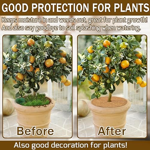 Miniatura 4 de ZeeDix 12 alfombrillas protectoras de fibra de coco, 11.8 pulgadas, cubierta de plantas, tapete de mantillo para malezas, anillo de mantillo de