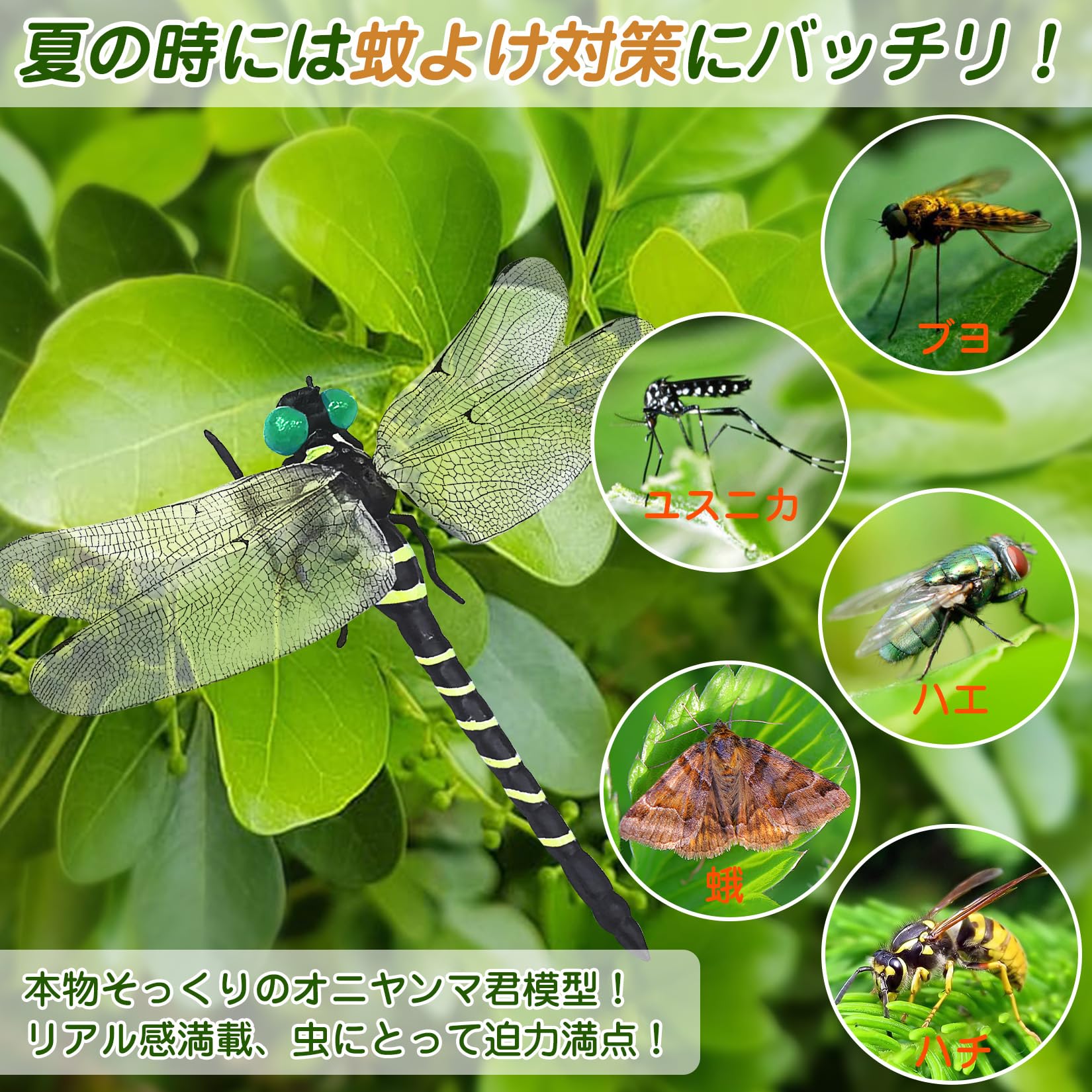 天敵で虫除け トンボ 蜻蛉 モデル 虫除け2cm キャンプ　オニヤンマ Amazon.co.jp: Ruokey オニヤンマ 虫除け トンボ 2匹 12cm オニヤンマ