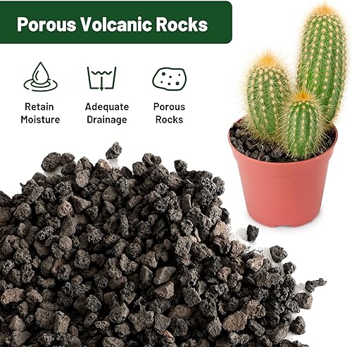 Miniatura 4 de Rocas de drenaje para plantas en maceta, 10 libras, rocas de lava hortícola para plantas, rocas suculentas para macetas de interior, roca de lava