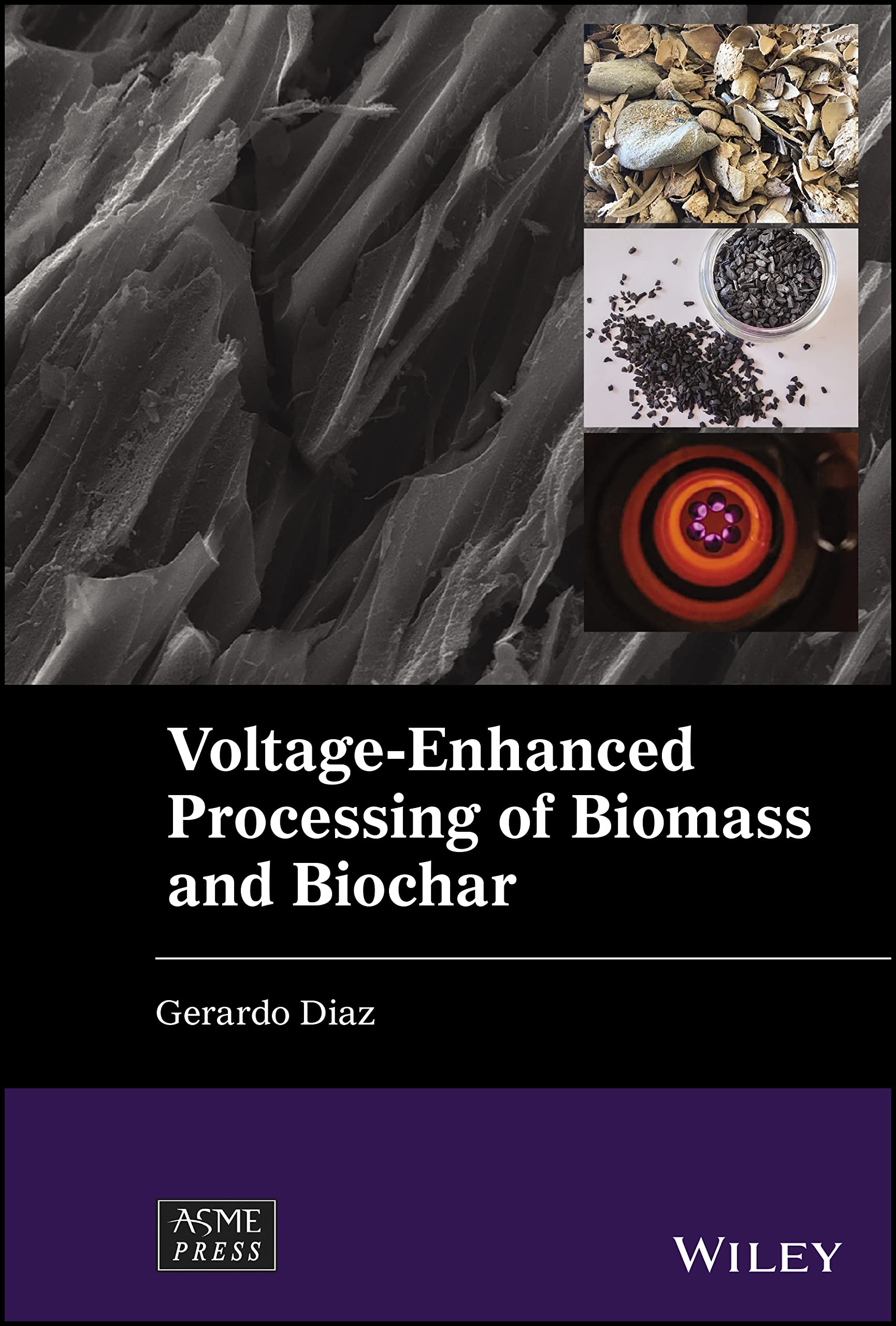 Buy Voltage-Enhanced Processing of Biomass and Biochar (Wiley-ASME Press Series) — BookShops.in