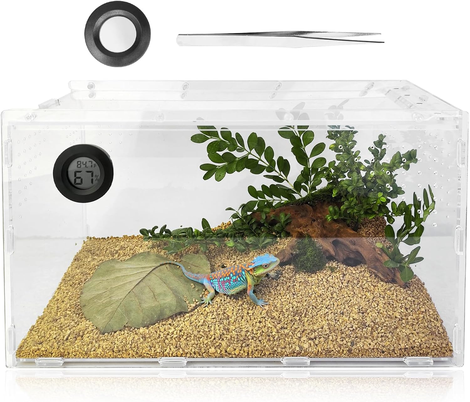 Reptile Terrarium Aquarium Breeding Tank, Acrylic