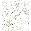 Product Photo 1
