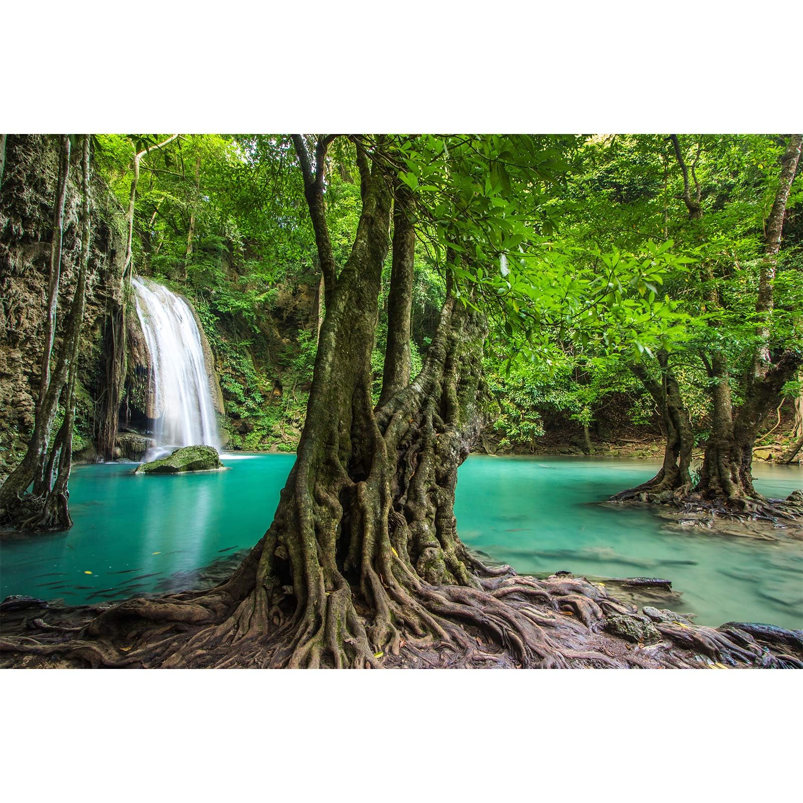 Waterfall Aquarium Background Tropical Rainforest Natural Landscape Terrarium Background Big Tree and Emerald Lake Stream Fish Tank Background Tropical Style Reptile Habitat Background 24x12in