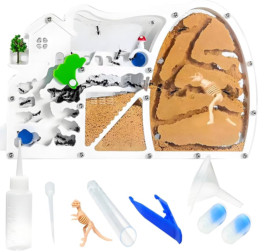 Amazon.com: EXBEPE Large Sand Ant Farm Castle,Ant Habitat with