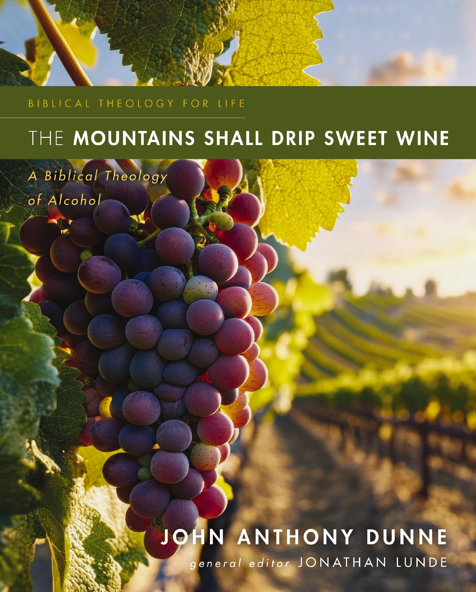 The Mountains Shall Drip Sweet Wine : A Biblical Theology of Alcohol