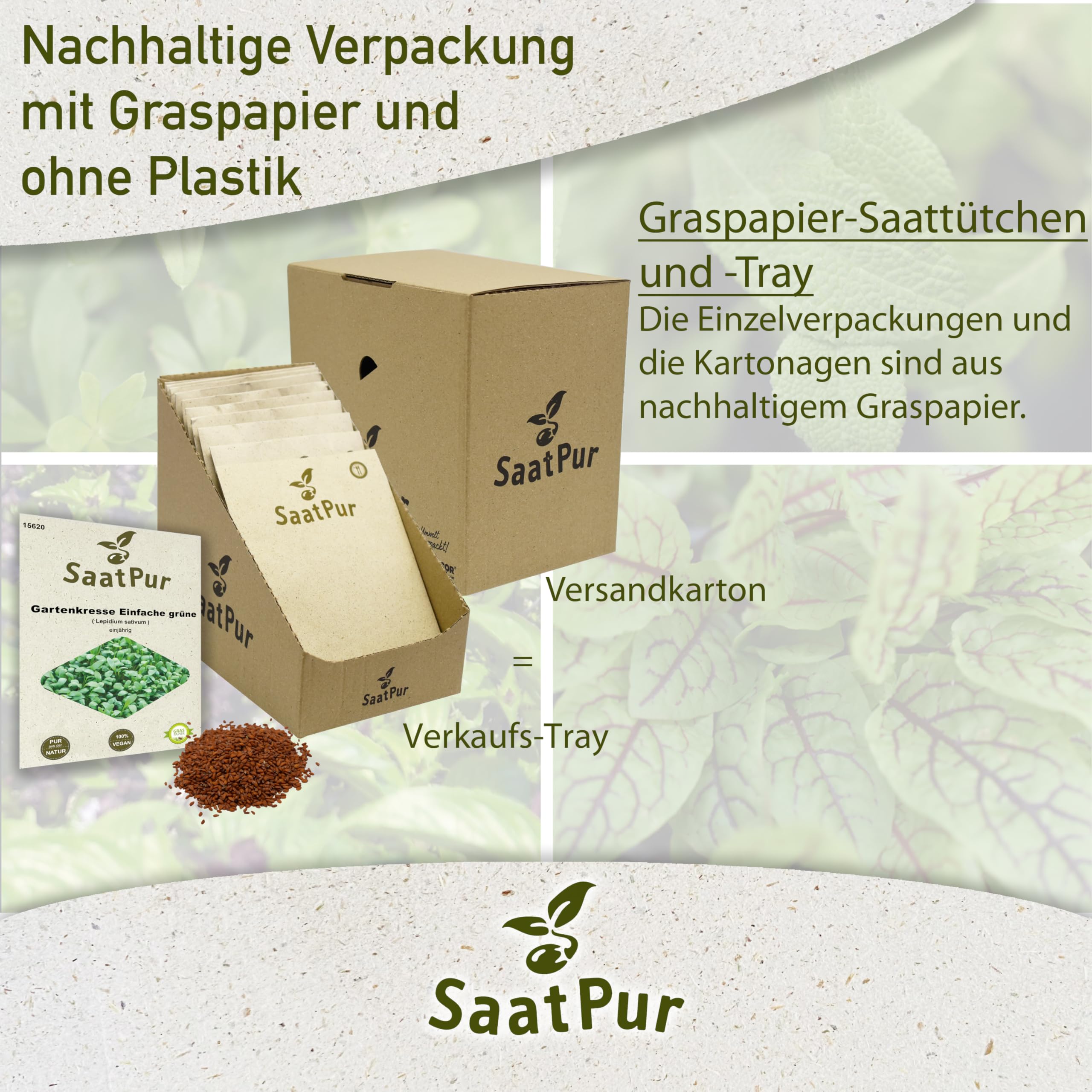 SaatPur Gartenkresse einfache grüne Samen, Saatgut - Kleines Tray mit 25 Portionstüten für je ca. 2500 Pflanzen