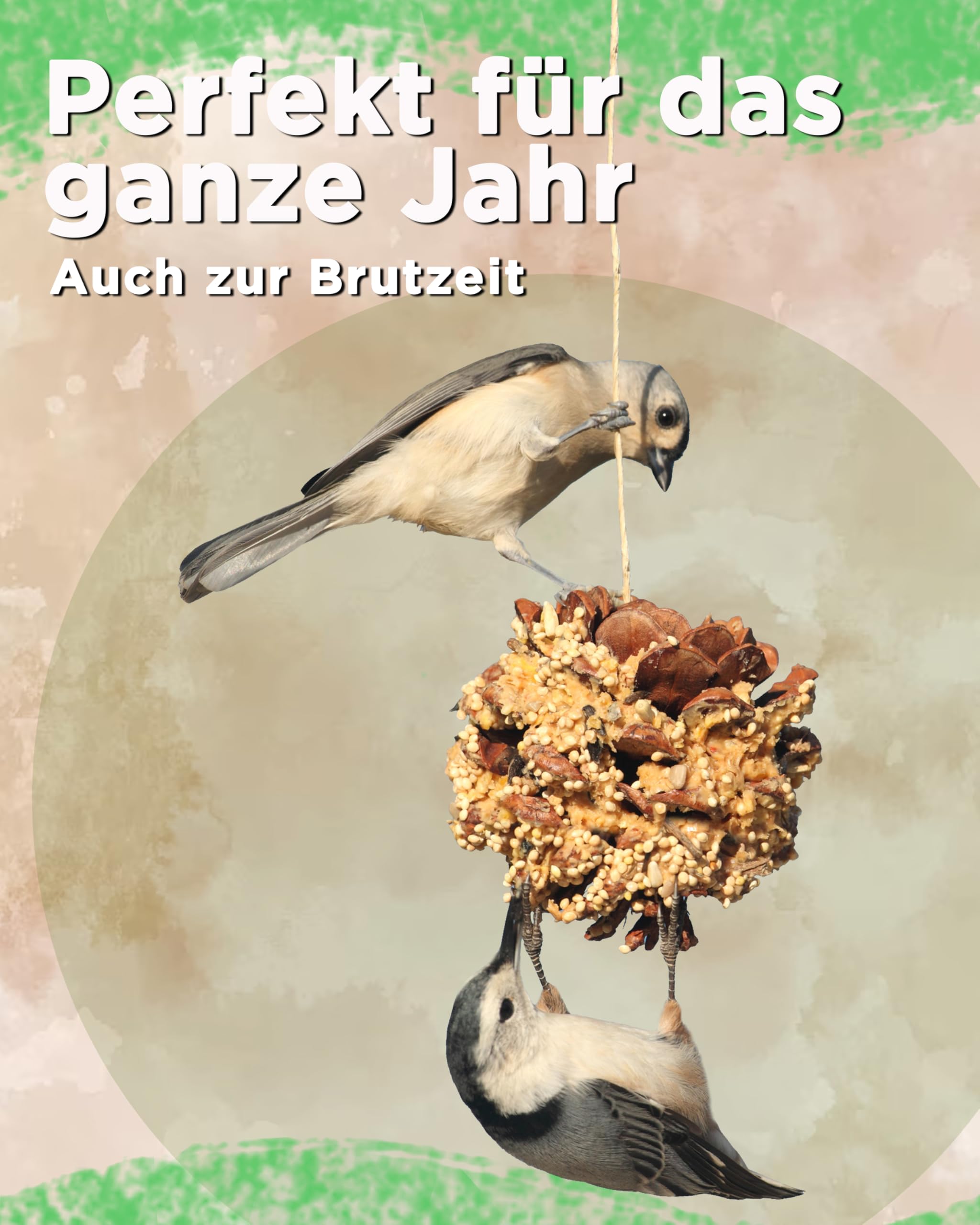 Futterbauer Meisenknödel 200 Stück ohne Netz Plus Insekten, Energiereiche Meisenknödel mit Insekten für Wildvögel, ohne Netz, ca. 90 g je Knödel, mit Vitaminen & Fetten