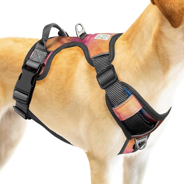 Embark Urban Dog Harness, No Pull Dog Harness with 2 Leash Clips, Dog Harness for Medium Dogs anti pull dog harness Front & Back with Control Handle, Adjustable, Soft & Padded |Puppy Harness|