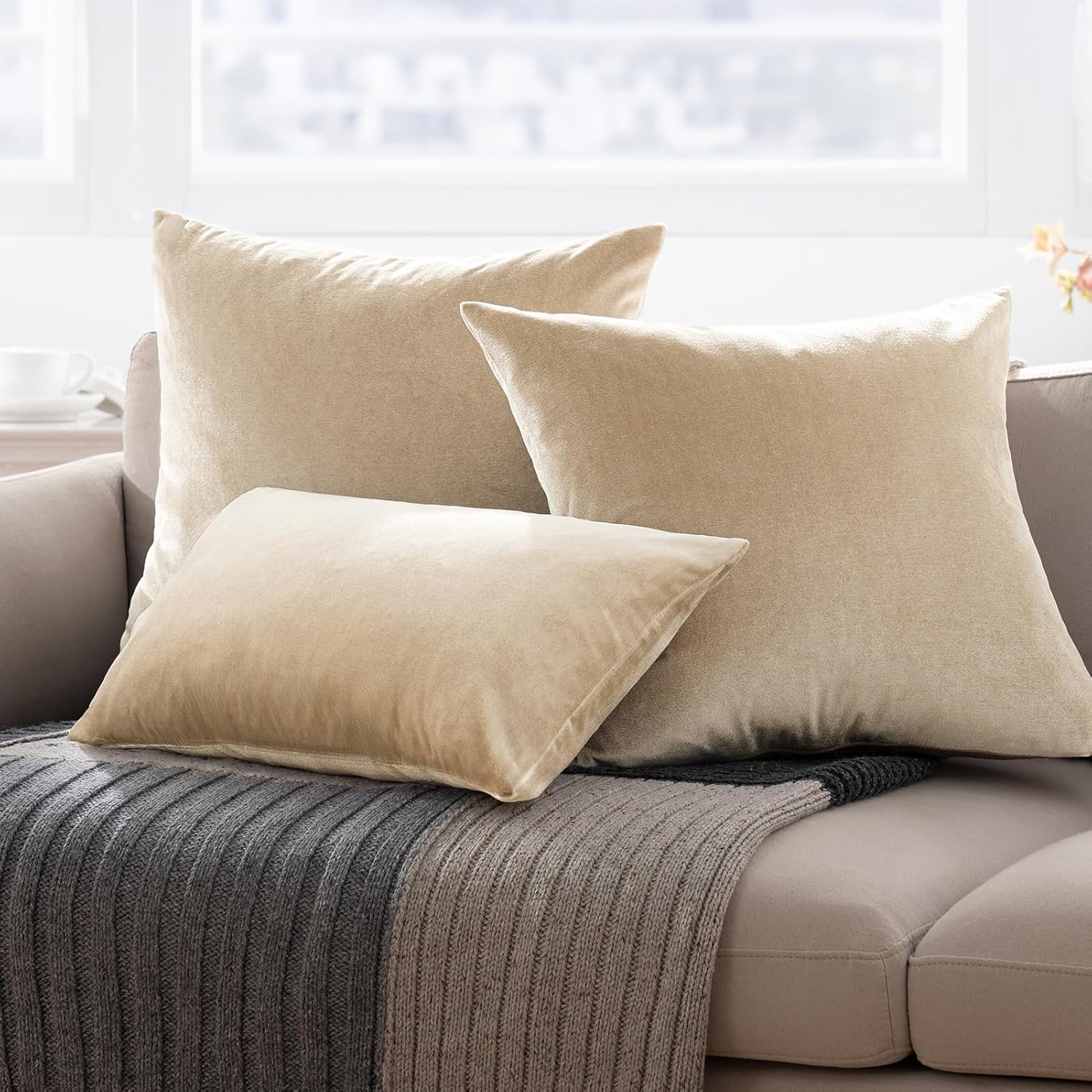 Phantoscope Pack of 2 Velvet Decorative Throw Pillow Covers Soft Solid Square Cushion Case for Couch Shiny Beige 12 x 20 inches 30 x 50 cm