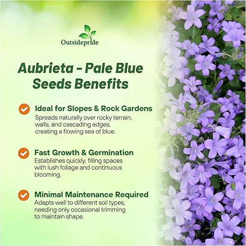 Miniatura 3 de Outsidepride Semillas de berro de roca Aubrieta azul pálido, 5000 unidades, semillas de flores perennes, fáciles de cultivar, de bajo mantenimiento,