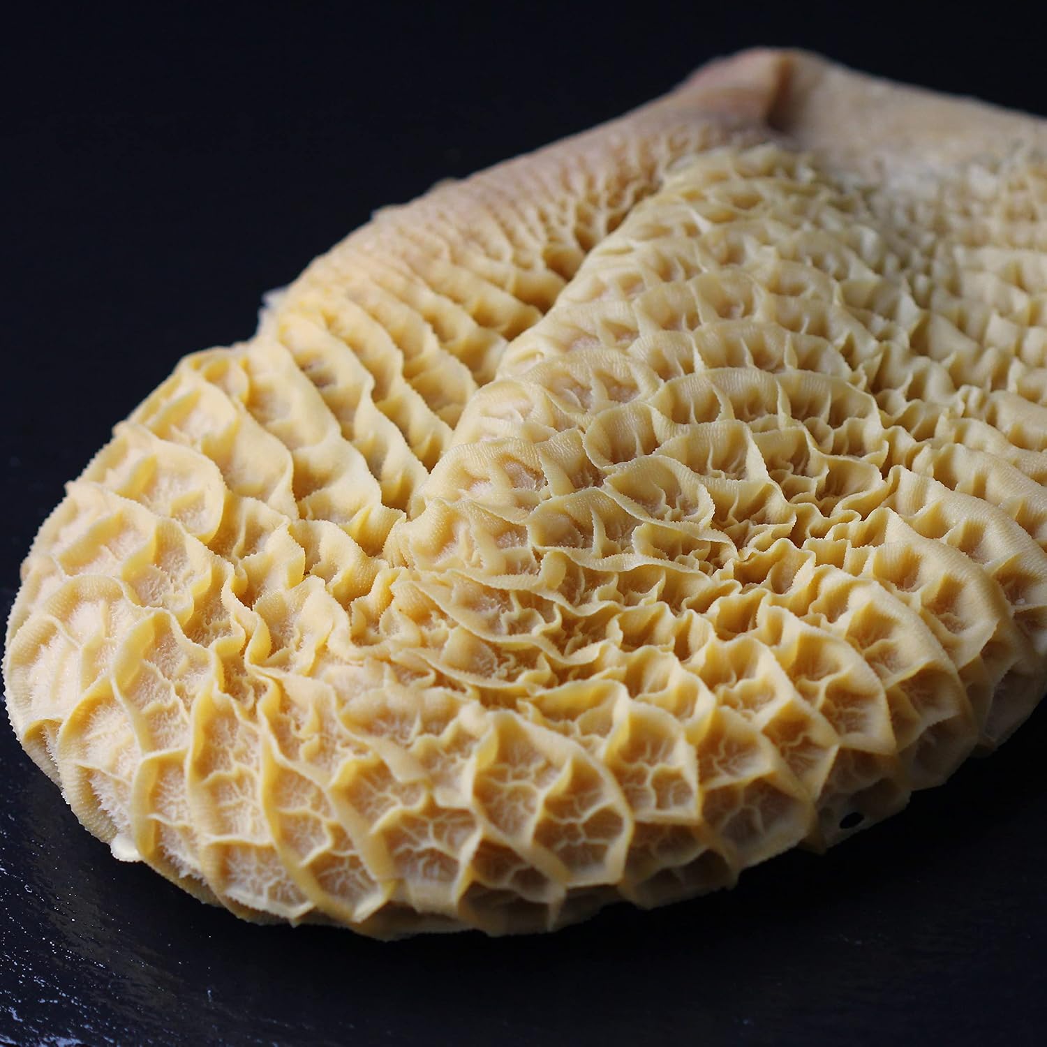 Amazon.co.jp: 牛ハチノス 700g以上(蜂巣胃) ホルモン 冷凍牛肚 牛の胃袋 Beef Honeycomb tripes ...