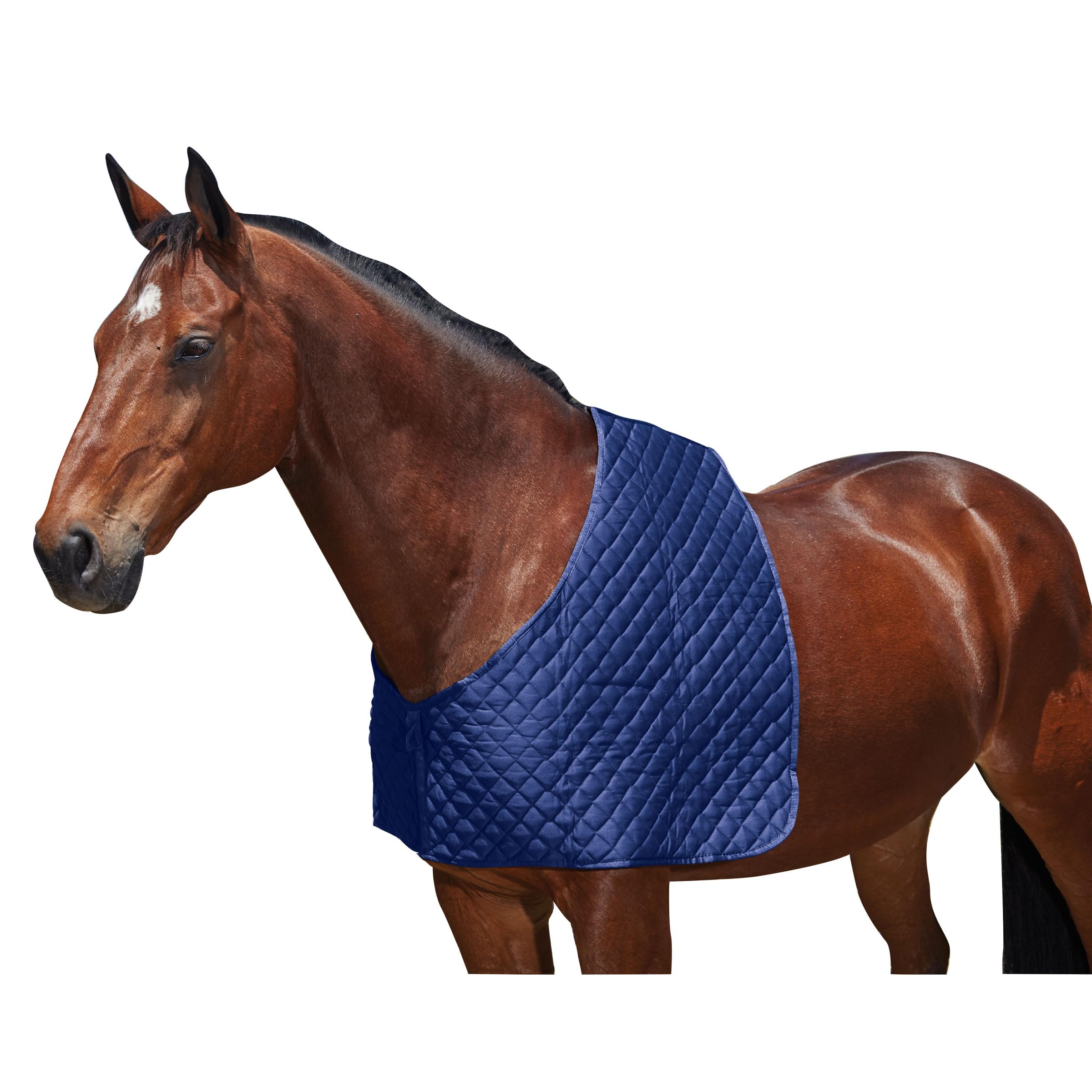 Weatherbeeta Deluxe – Coprispalle Protettivo Per Cavallo (Pony), Blu Navy