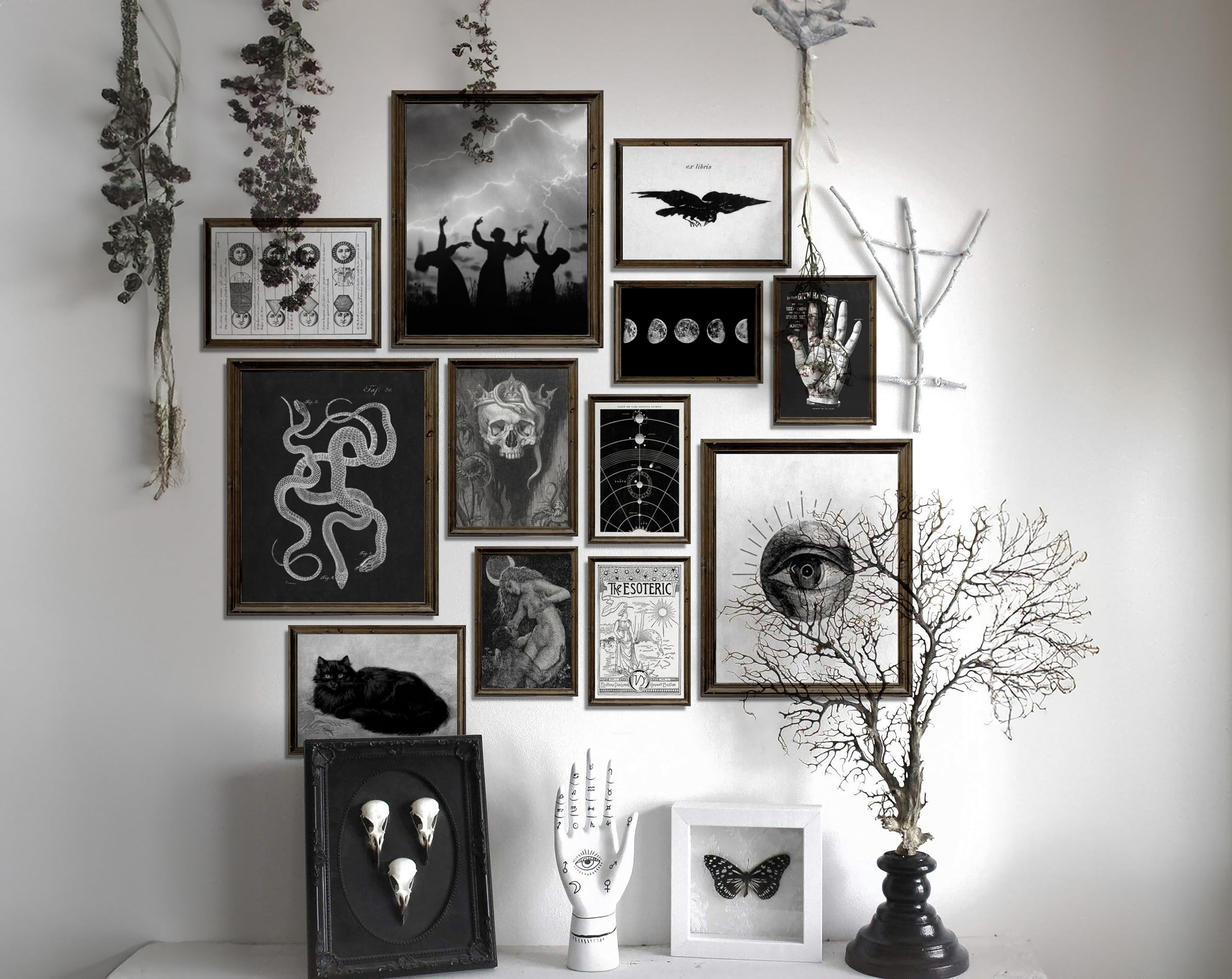 Waschbär Gothic Home Decor, Aesthetic  Decor, Goth Room Decor, Creepy Art Prints, Halloween Wall Posters, Scary Picture, Spooky Witch Decoration for Home Bedroom (UNFRAMED): Witchy