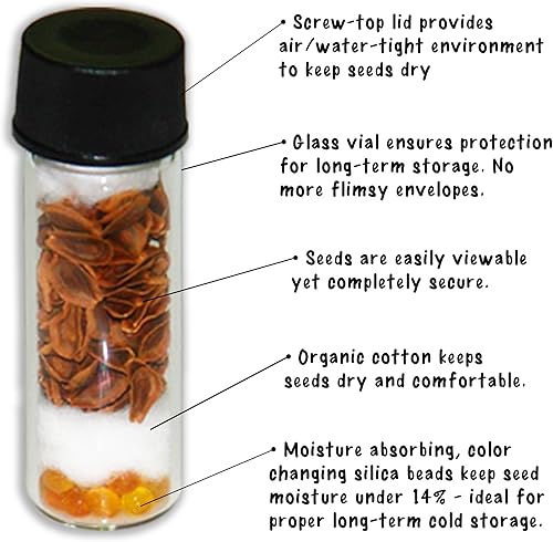 Miniatura 3 de Tomate Everglades - Cultiva ahora o almacena para futuras plantaciones - Cápsula de 20 semillas