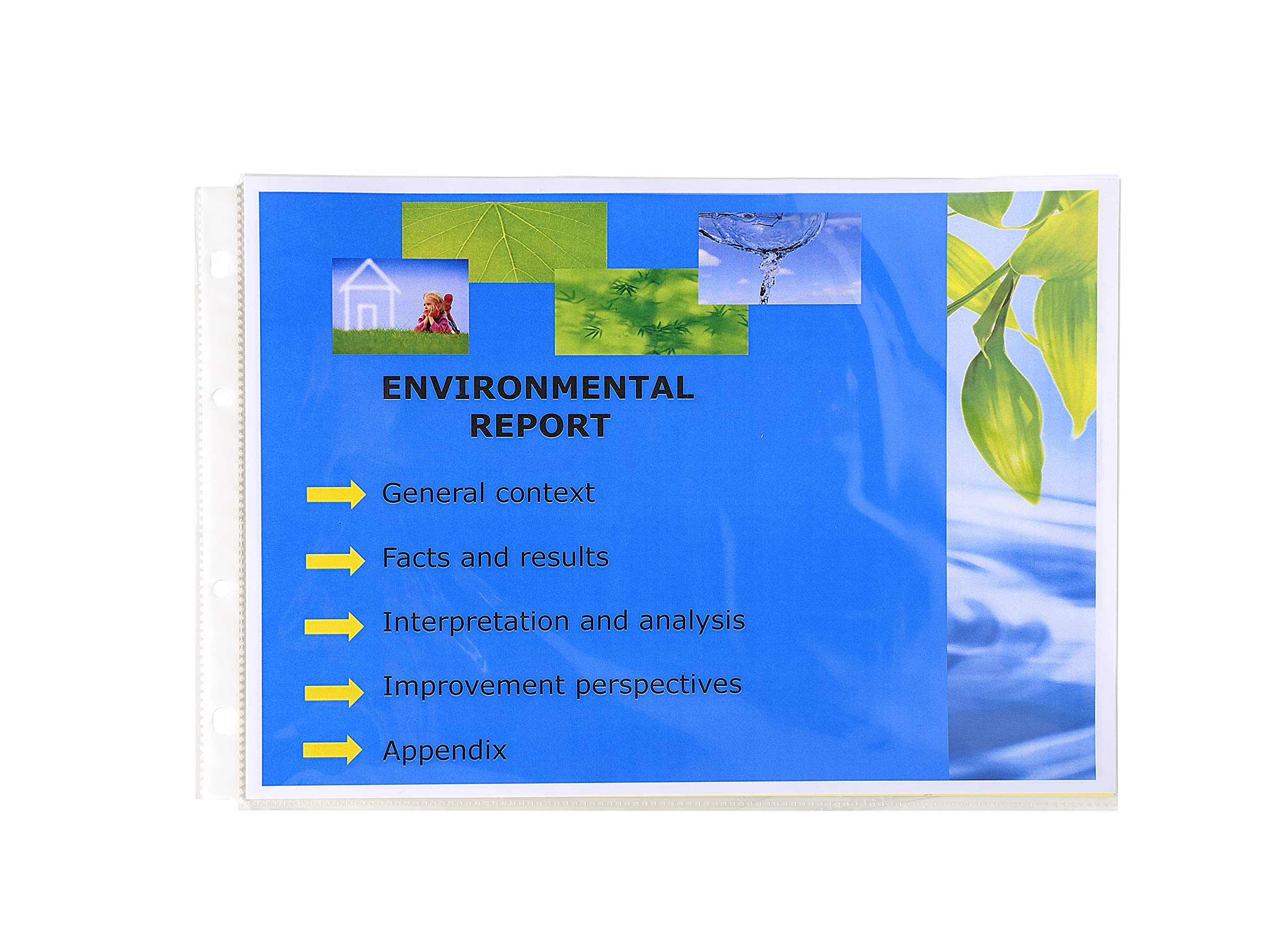 Exacompta - Ref 5734E - Box of 100 Punched Pockets with Bevelled Corners for Exactive Folders Ref 56034E - Smooth PP 5.5/100e - A4 Format - Horizontal - Crystal
