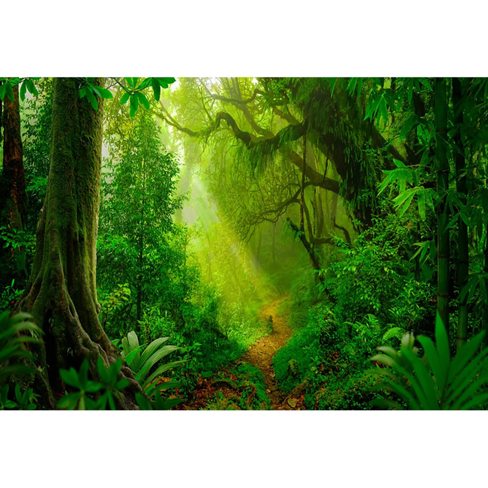 Aoihrraan 2,7x1,8m Primavera Incantato Foresta Sfondo Giungla foresta pluviale vecchio alberi sole naturale scenario fotografia sfondo Bambino Doccia Compleanno Festa Adulto Ritratto Foto Prop Aoihrraan 2,7x1,8m Primavera Incantato Foresta Sfondo Giungla foresta pluviale vecchio alberi sole naturale scenario fotografia sfondo Bambino Doccia Compleanno Festa Adulto Ritratto Foto Prop