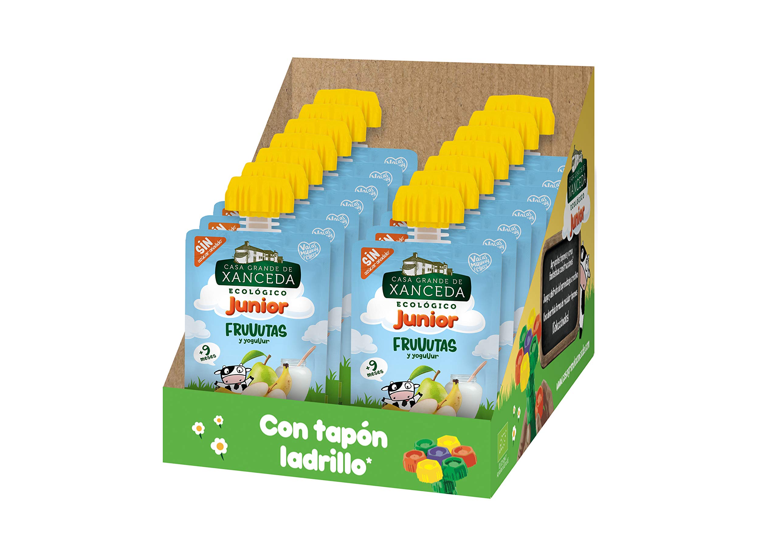 Casa Grande de Xanceda - Yogur ecológico de fruta ecológica Pack de 14 unidades (14 uds x90g)