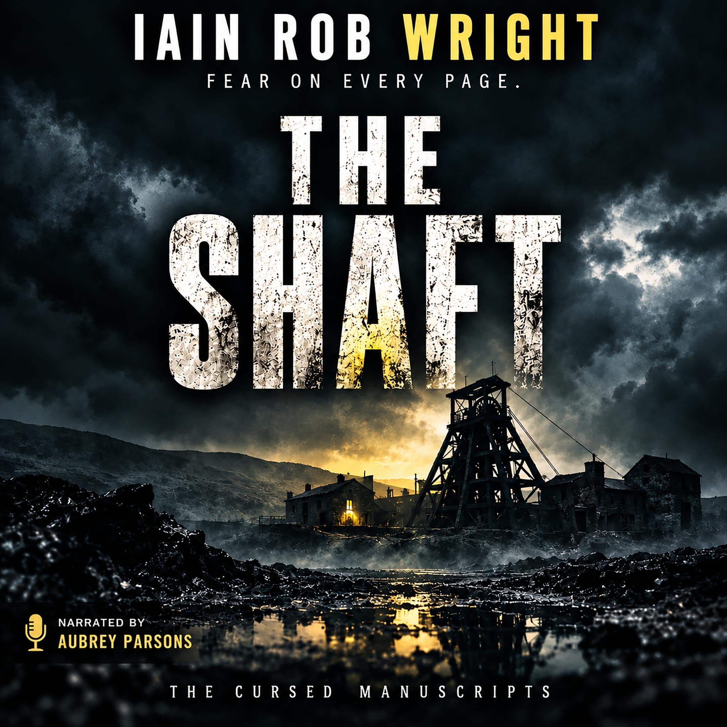 Cover art for The Shaft