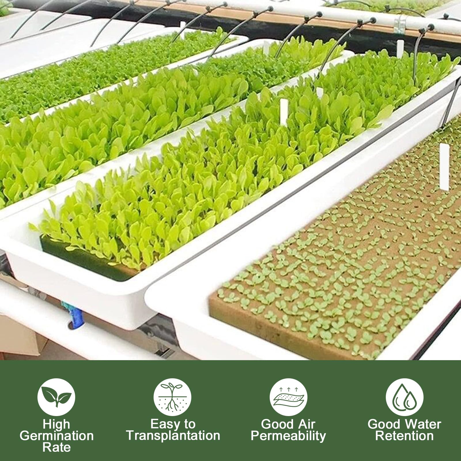 Behogan Rockwool Cube Steenwolkweekmat, 84 Stuks, 4 X Cm Kubussen Vloerloos Voor Hydrocultuur Stekken Kolonisatie Verplanten Zaailingen Plantenvermeerdering 3563393176