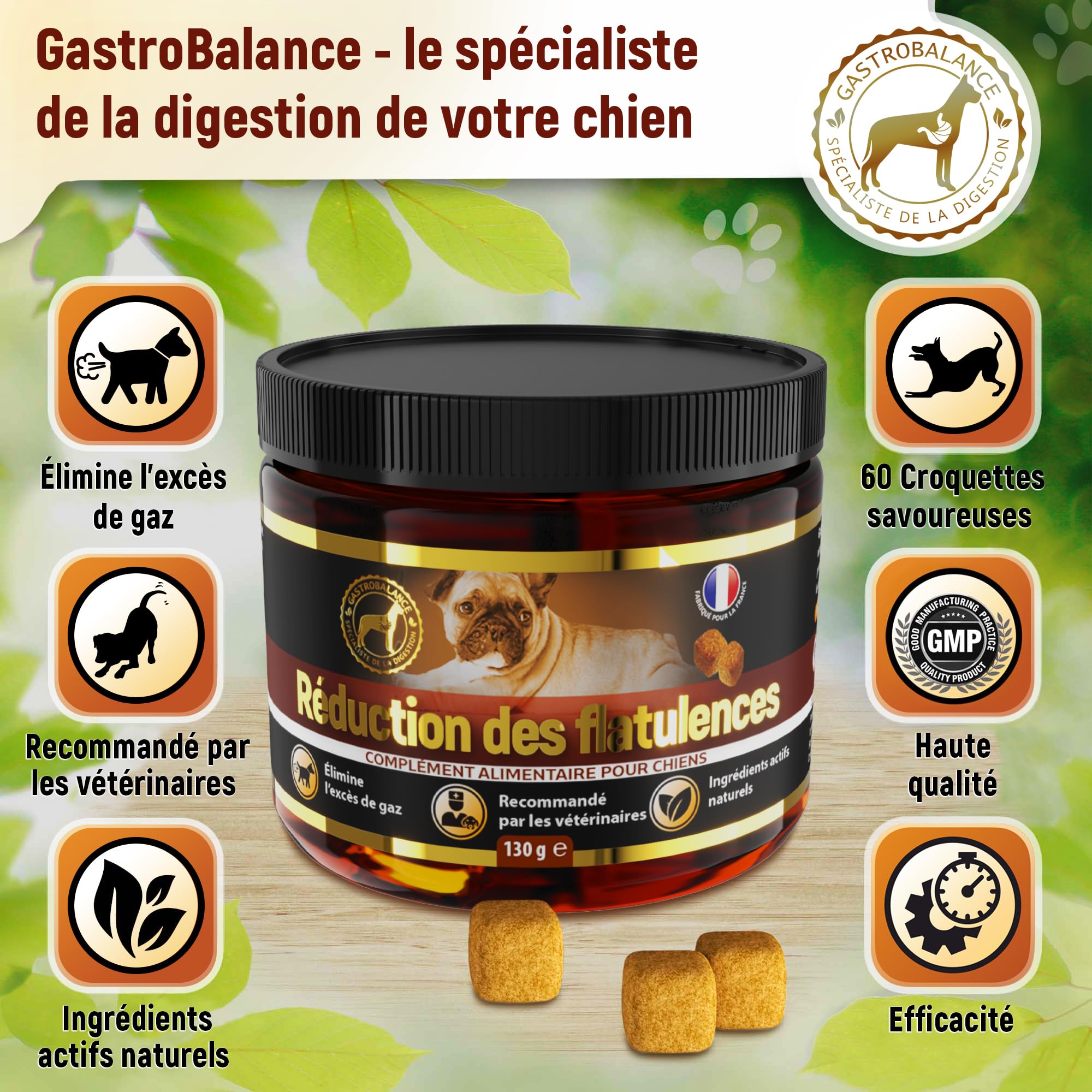 Traitement Anti Flatulence Chien - complément Alimentaire Chien flatulences - 60 croquettes Chien Anti Flatulence - Goût Poulet (Francais)