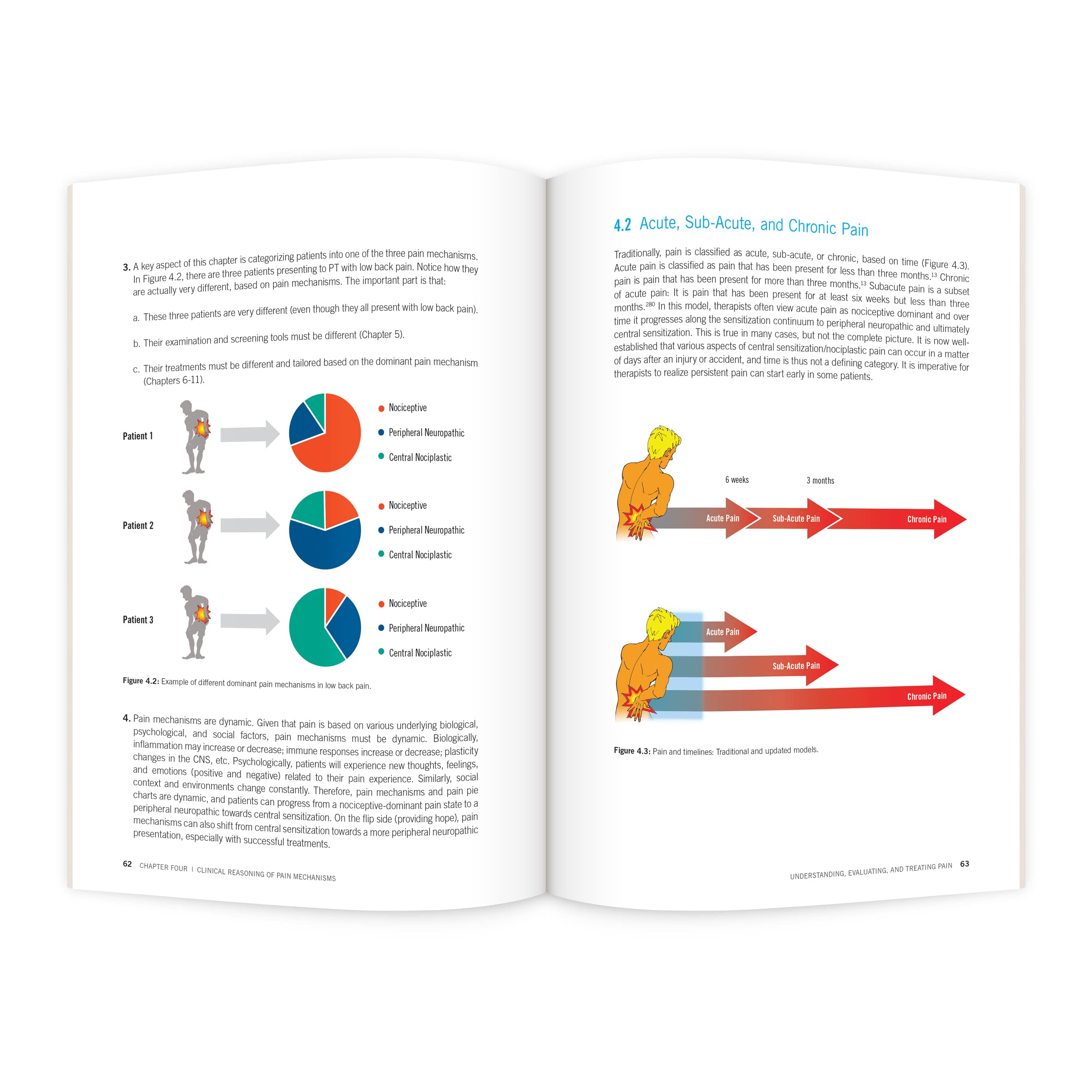 Understanding, Evaluating and Treating Pain for the PT and PTA Student - Image 3