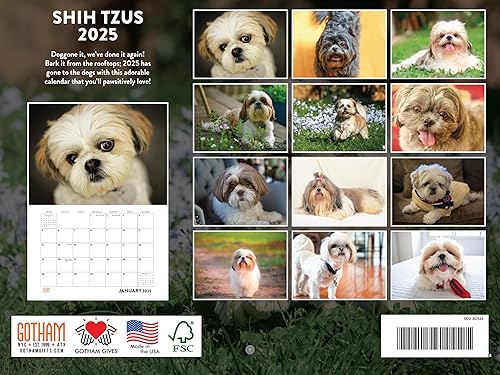 Vista 434 de Calendario Goldendoodle 2026 Golden Doodle mensual de pared calendario de 12 meses Fabricado en Estados Unidos