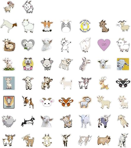 Vista 187 de BulbaCraft 100 calcomanías de baile para botella de agua, calcomanías de baile para álbumes de recortes, regalos para bailarines, regalos