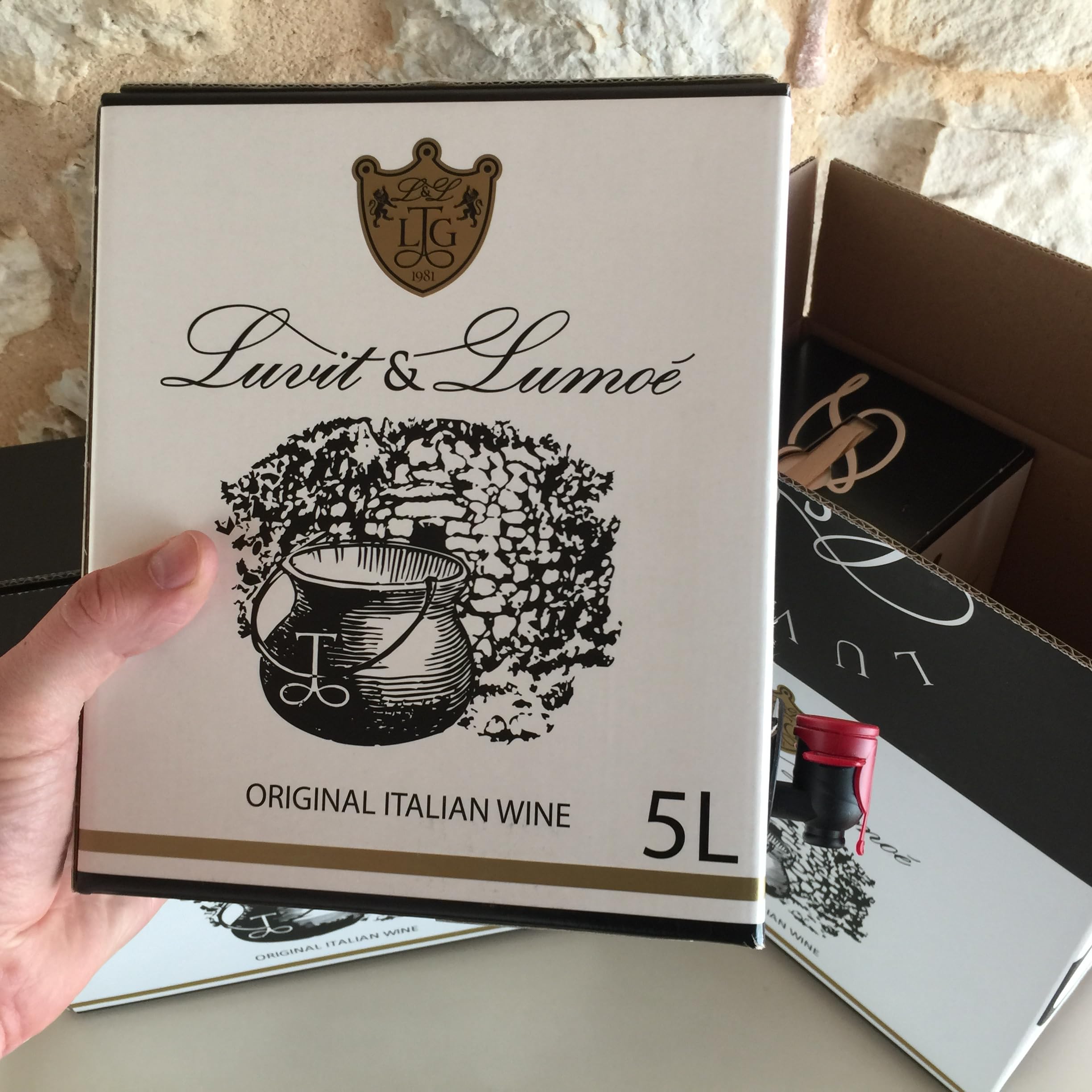 Luvit & Lumoè | Pinot Grigio DOC Friuli Venezia Giulia | Italienischer Weißwein | Bag in Box | 2 X 5 Liter = 13 Flaschen