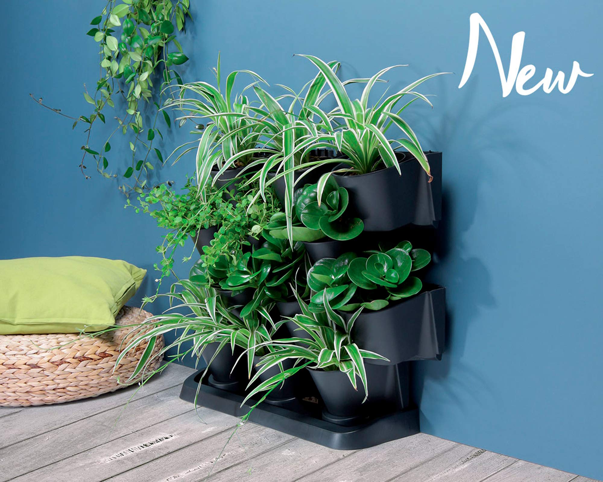 Prosperplast Cascade Garden jardinière verticale en plastique de couleur anthracite 68,5 (L) x 19 (l) x 54,6 (H) cm