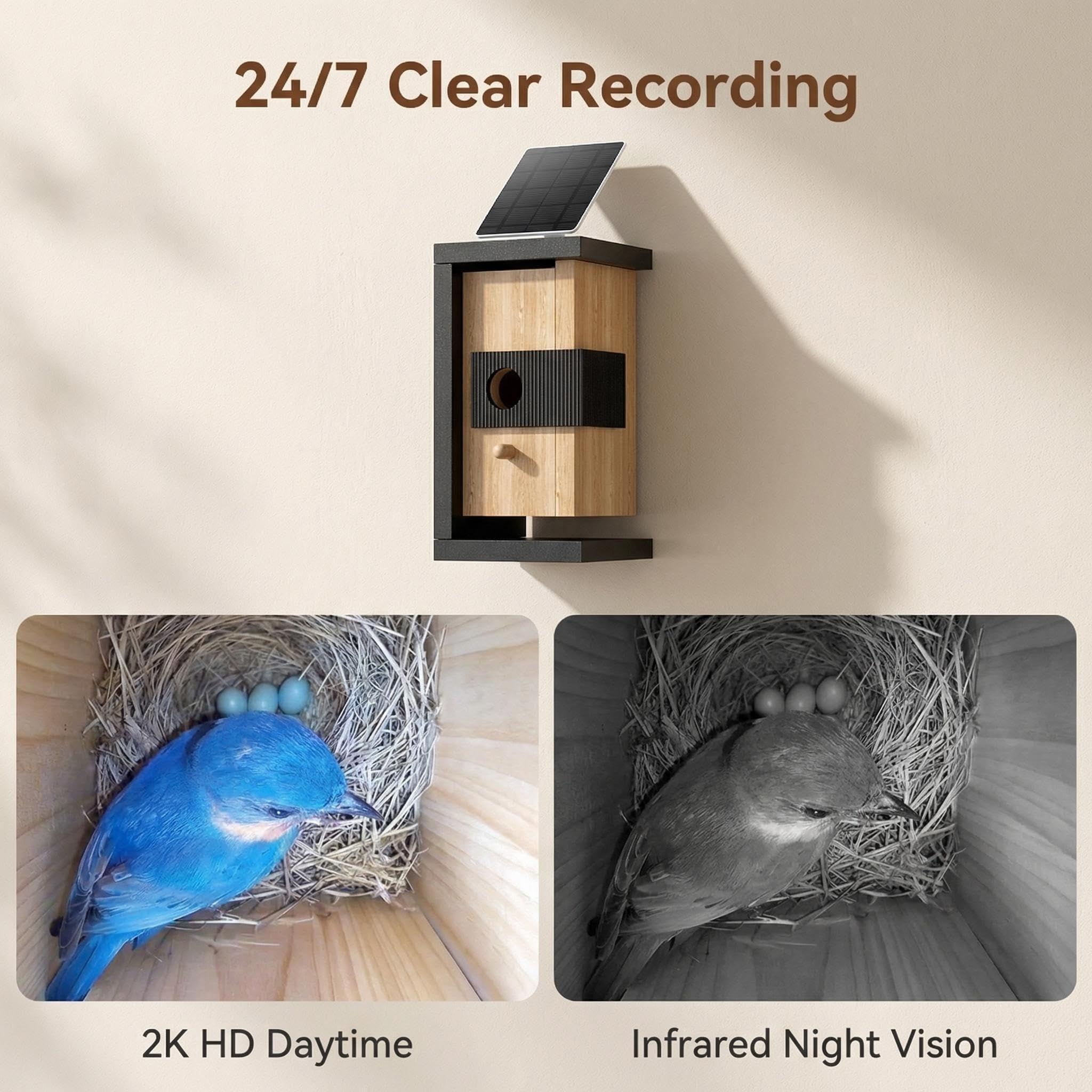 Smart Bird House with Camera Solar Powered, 2K Live Video & Night Vision for 24/7 Nesting Recording, Auto Detect & Notify, Ideal Nature Gift for Bird Lovers, AI Identify Lifetime Free - 4