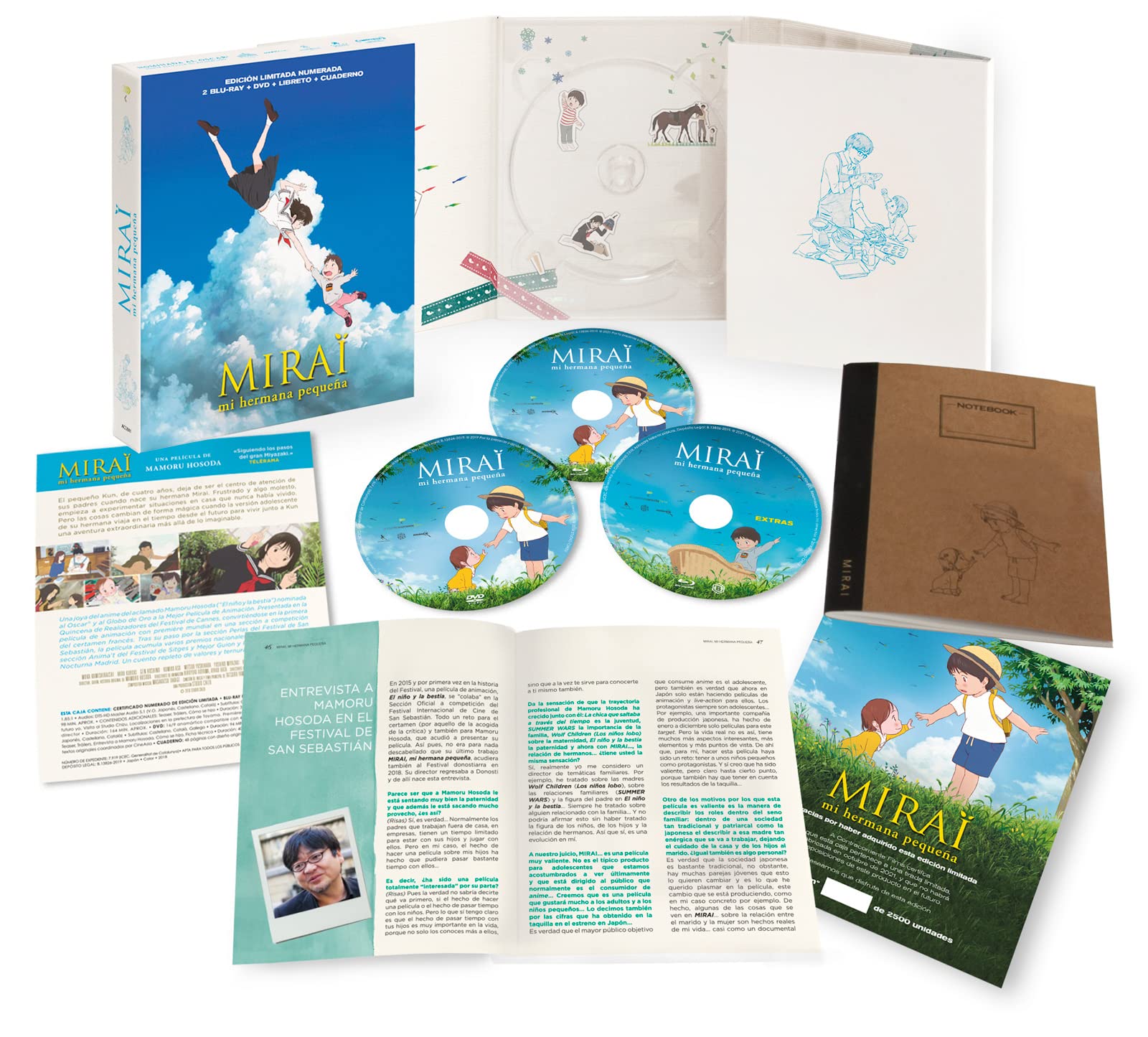 Mirai, mi Hermana pequeña - DVD