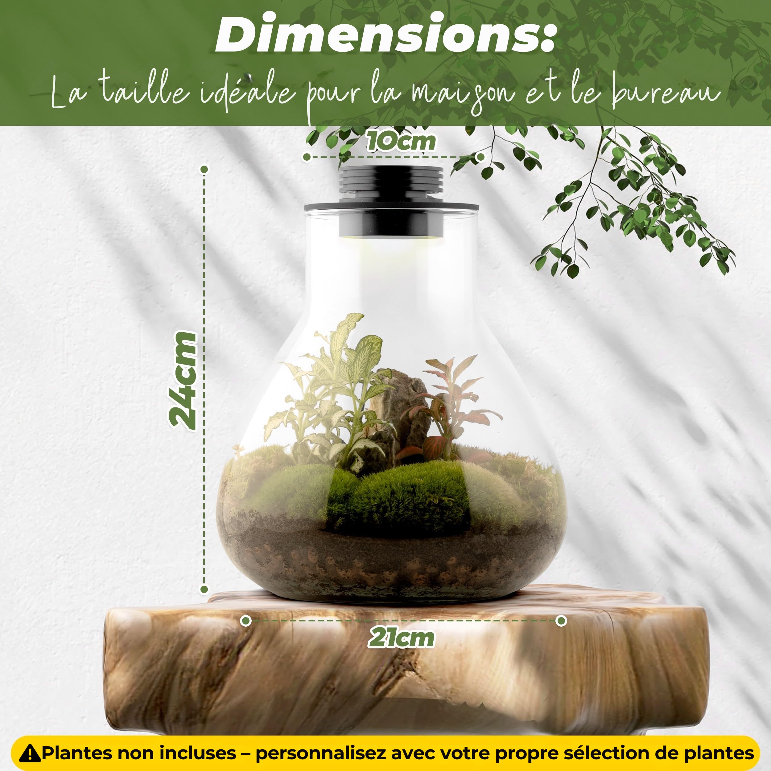 Kit de terrarium pour plantes avec récipient en Borosilicate et lumière LED
