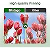 Product Photo 4