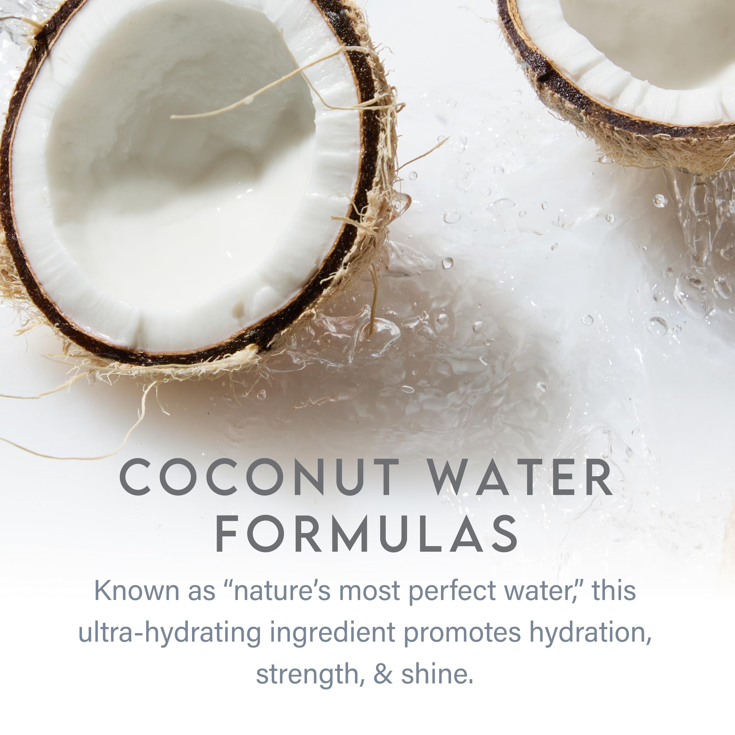 Aluram Coconut Water Moisturizing Conditioner for Men and Women Clean Hydration and Shine for Medium to Coarse Textured Hair product thumbnail 7
